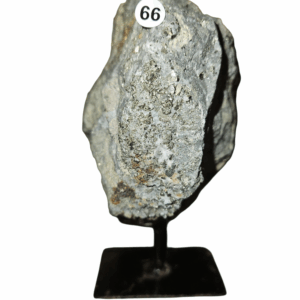 Pyriet op standaard nr.66