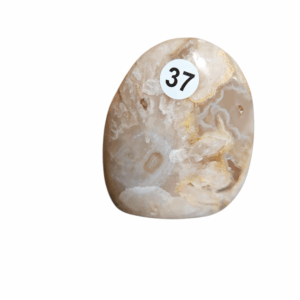 Bloem Agaat staander nr. 37