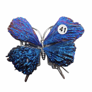Ruwe Zwarte Toermalijn Vlinder met Titanium nr. 41