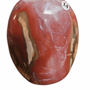 Versteend Hout free vorm nr.14 1.089gr