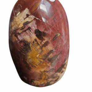 Versteend Hout free vorm nr.15 956gr