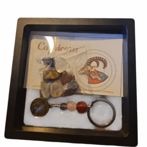 Sterrenbeeld edelsteen giftbox Steenbok