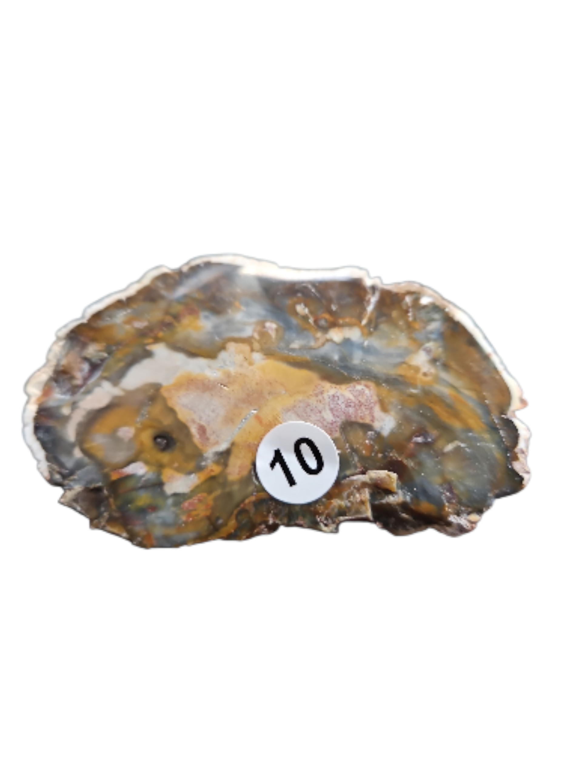 IMG_2621093506229347952