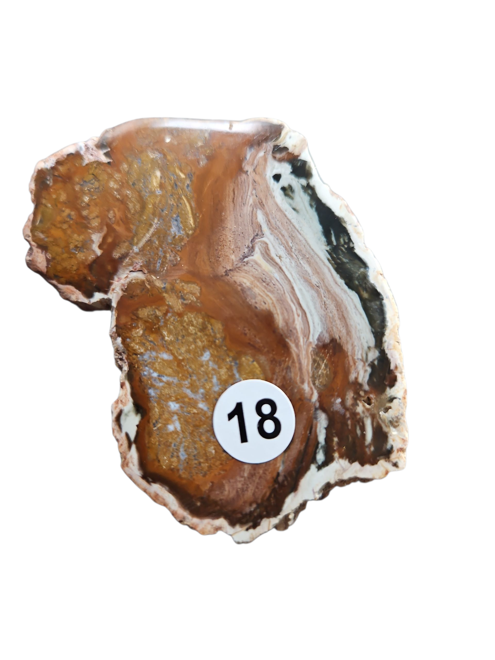 IMG_3043662940318159070