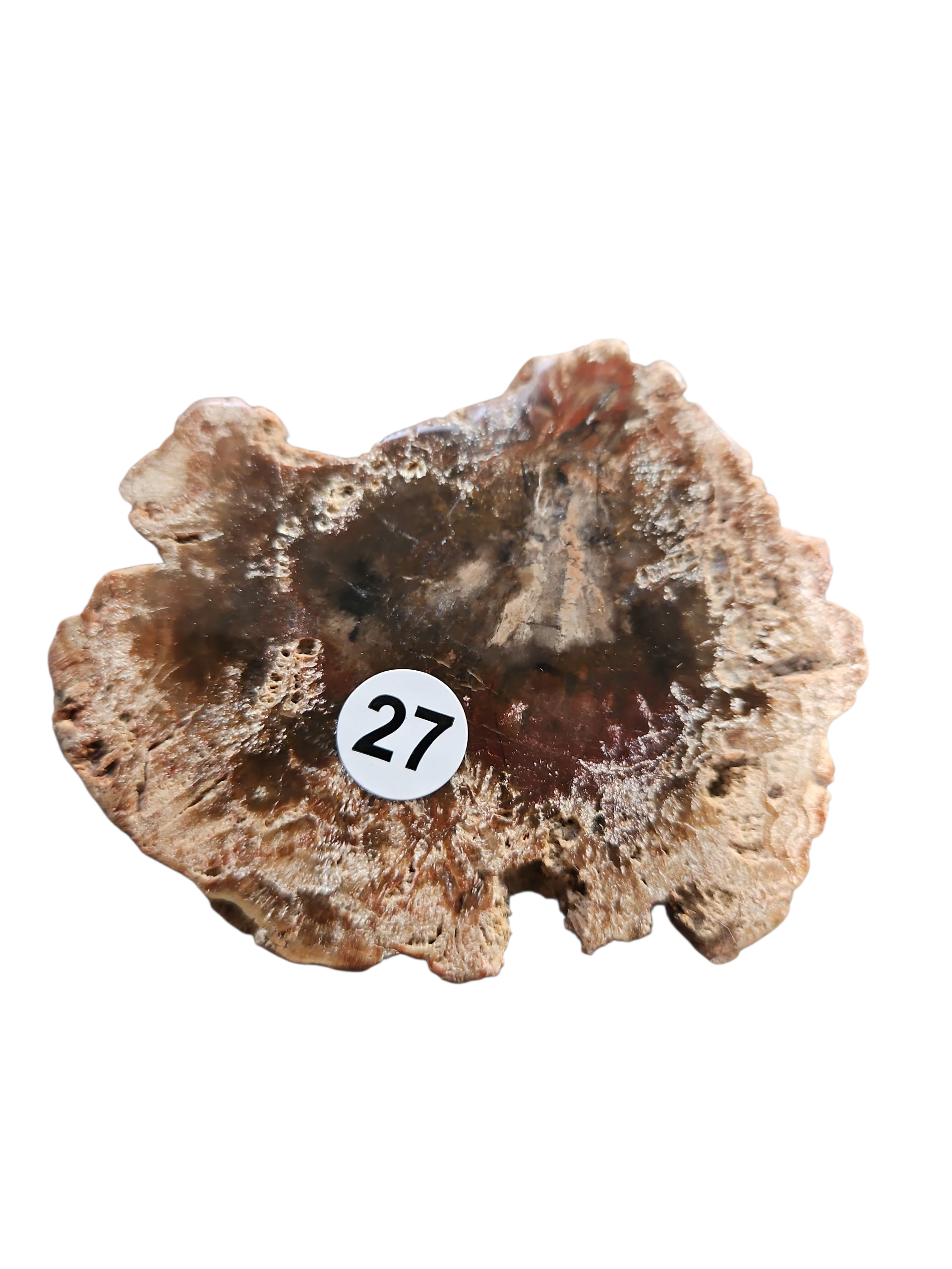 IMG_3928187385933451795