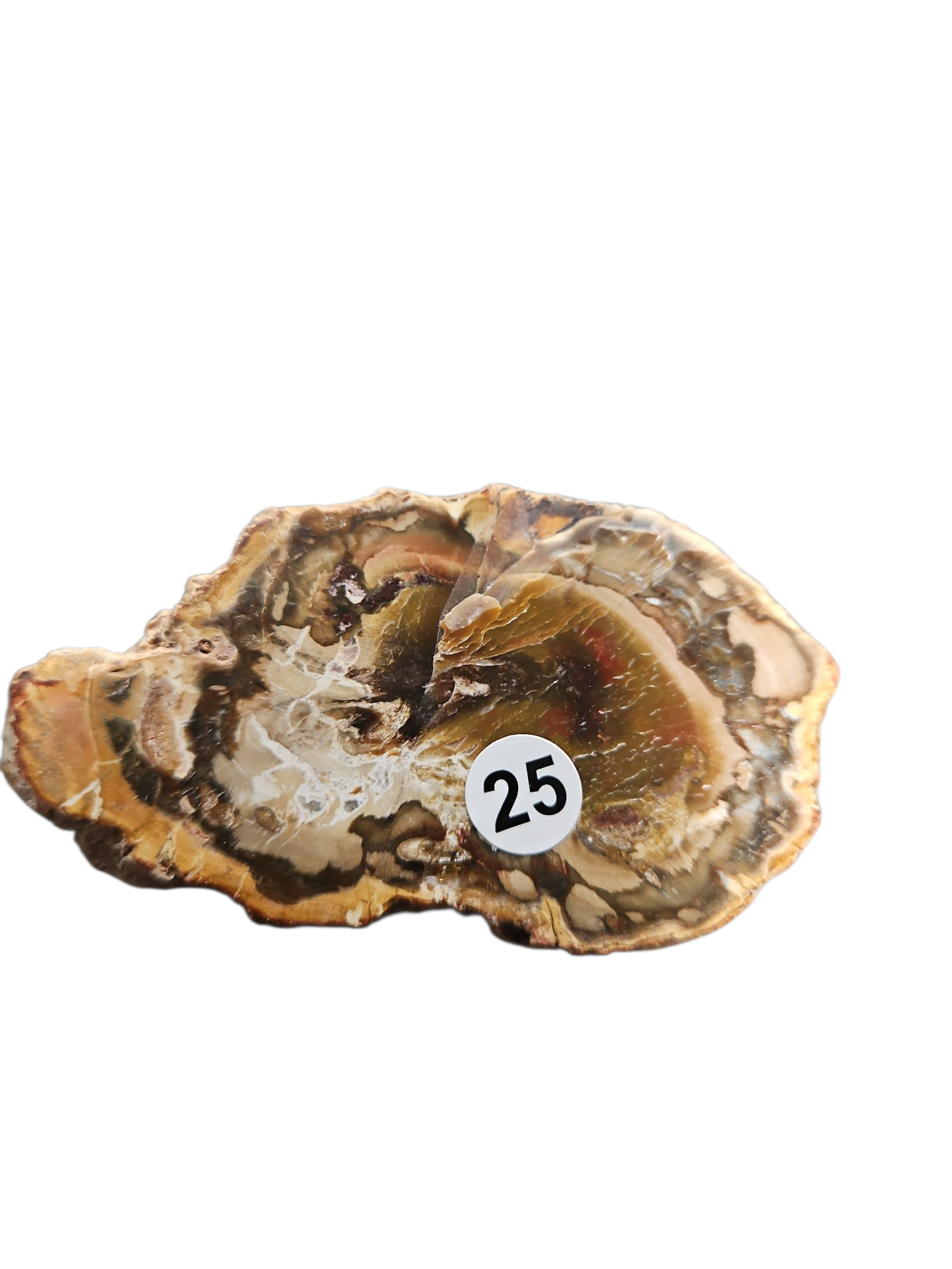 IMG_4385727950683936889