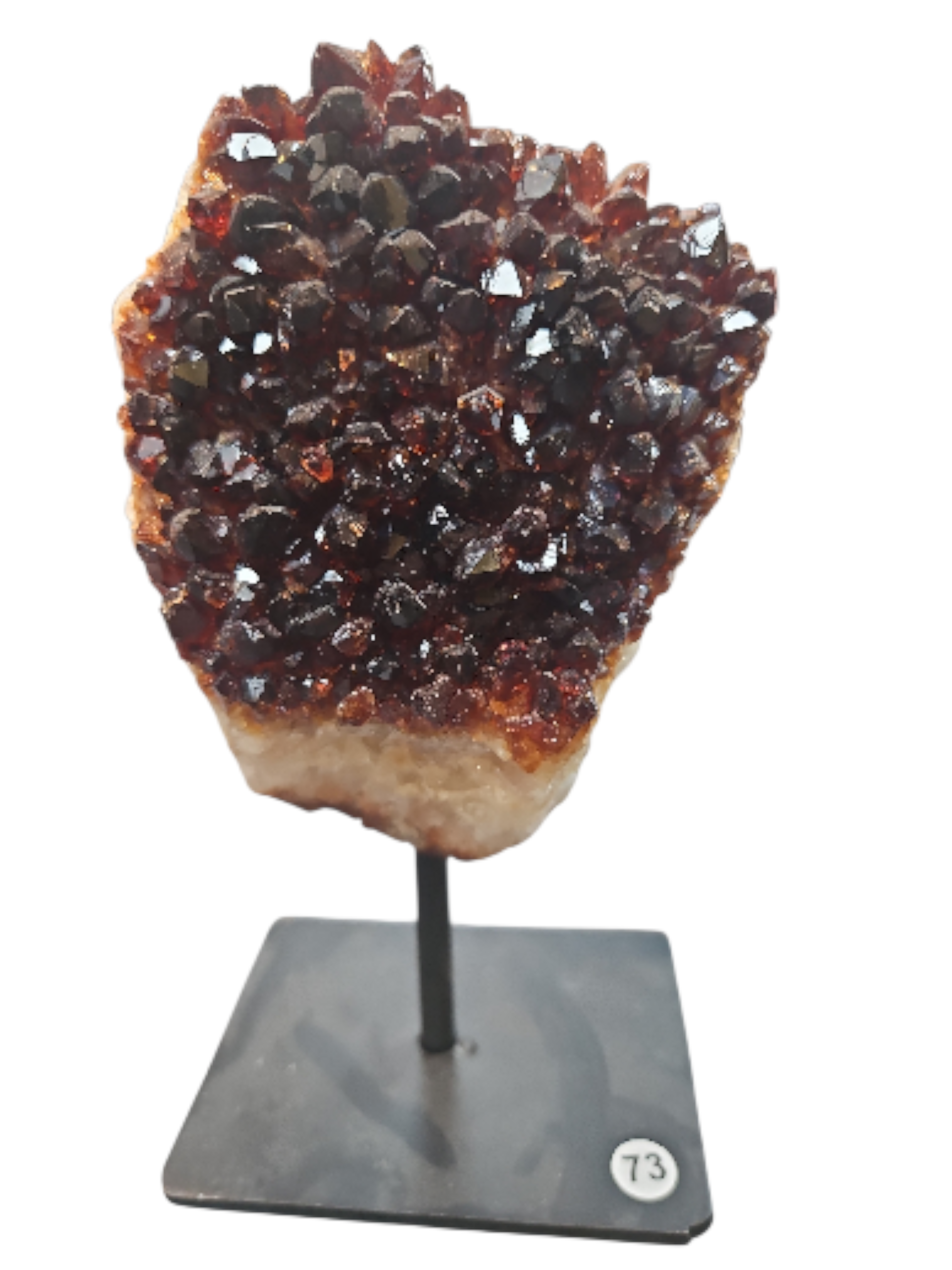 IMG_1214199320138821861