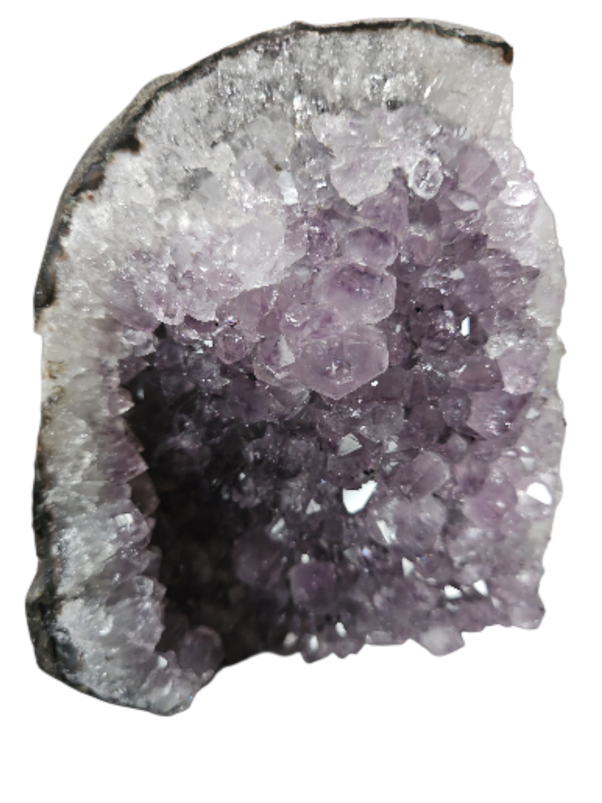 IMG_1226314679561740157