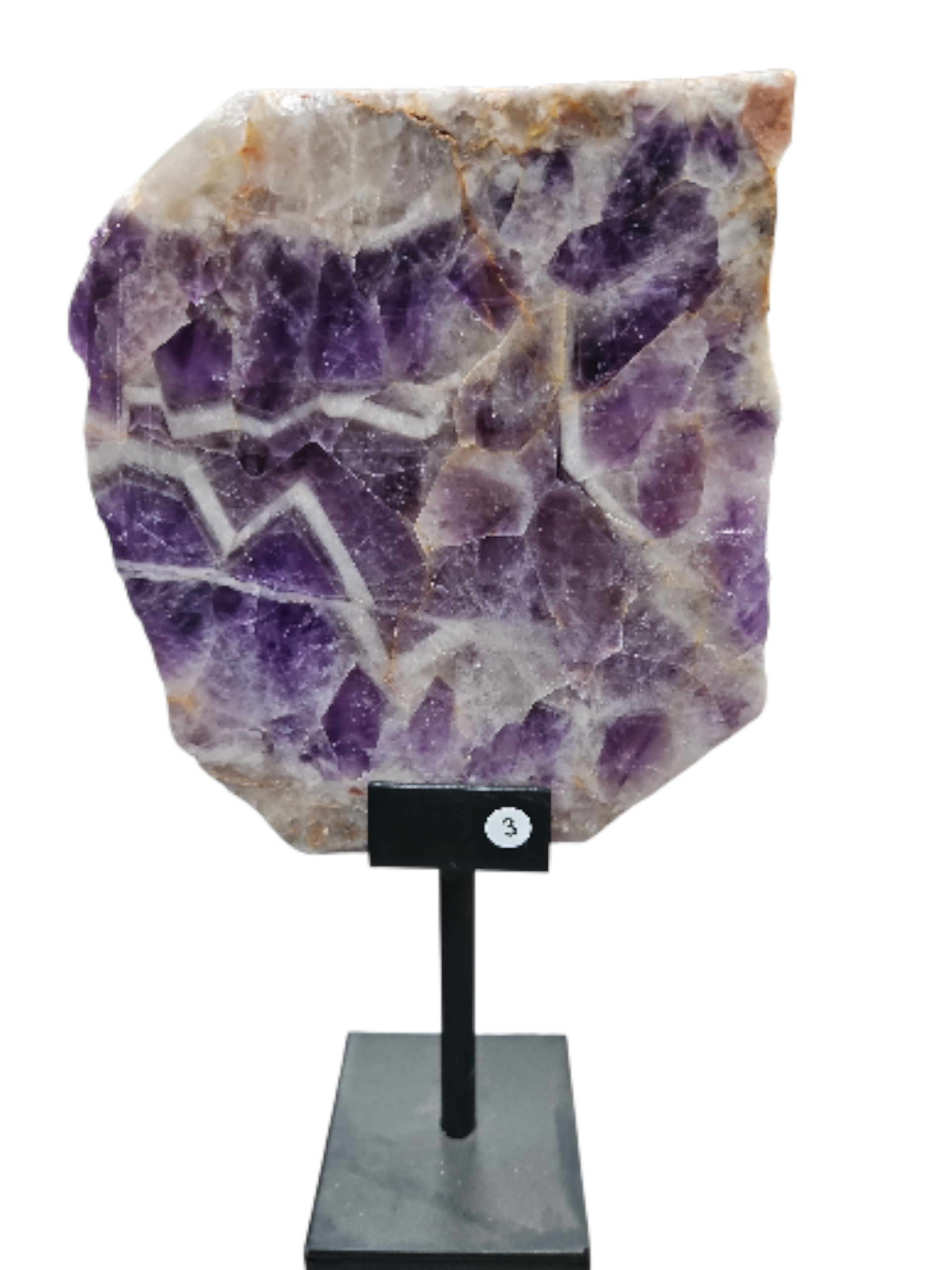 IMG_1291569735461839302