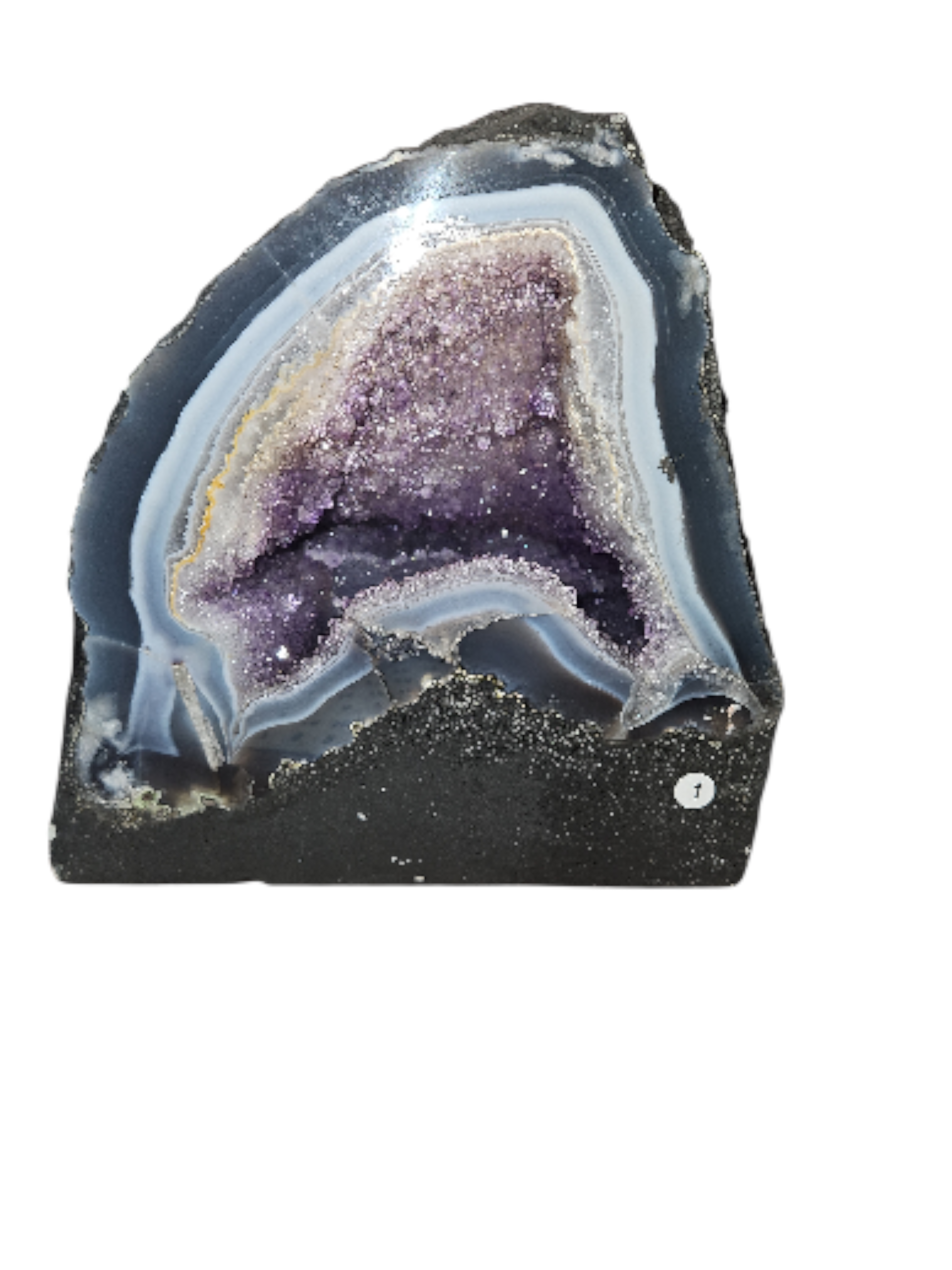 IMG_1835243949159481059