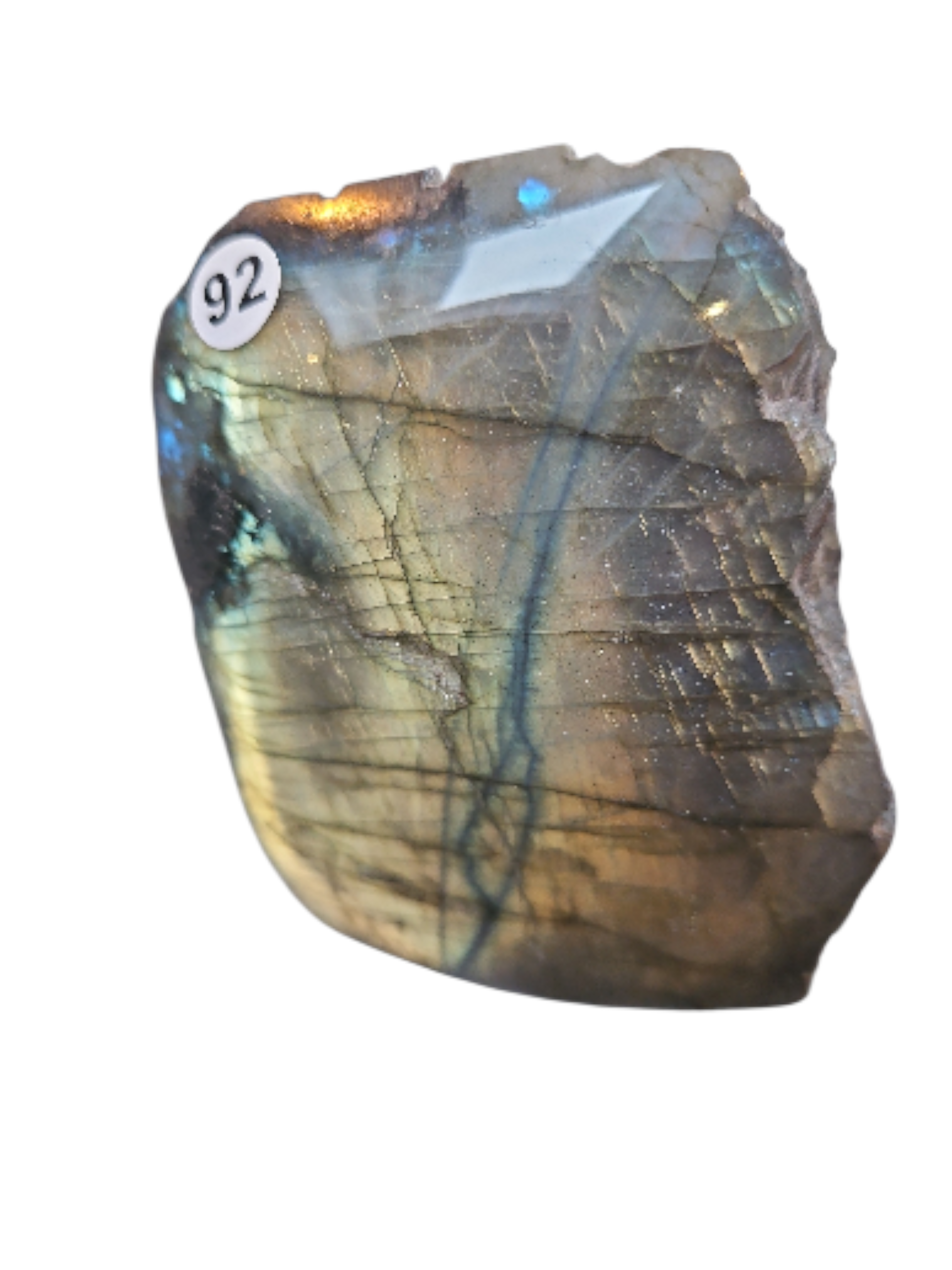 IMG_1852976895313916935