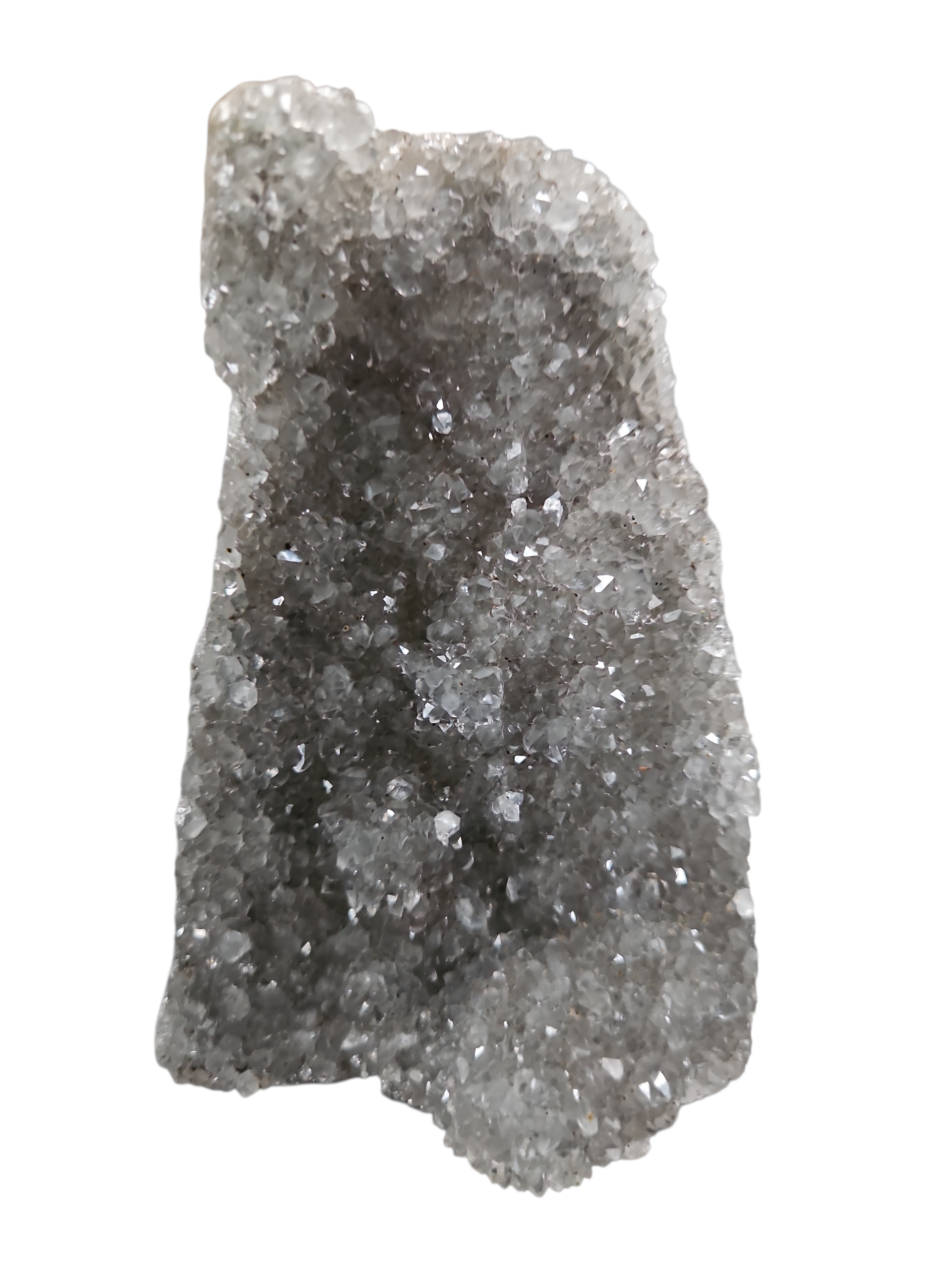 IMG_2018852991896862326