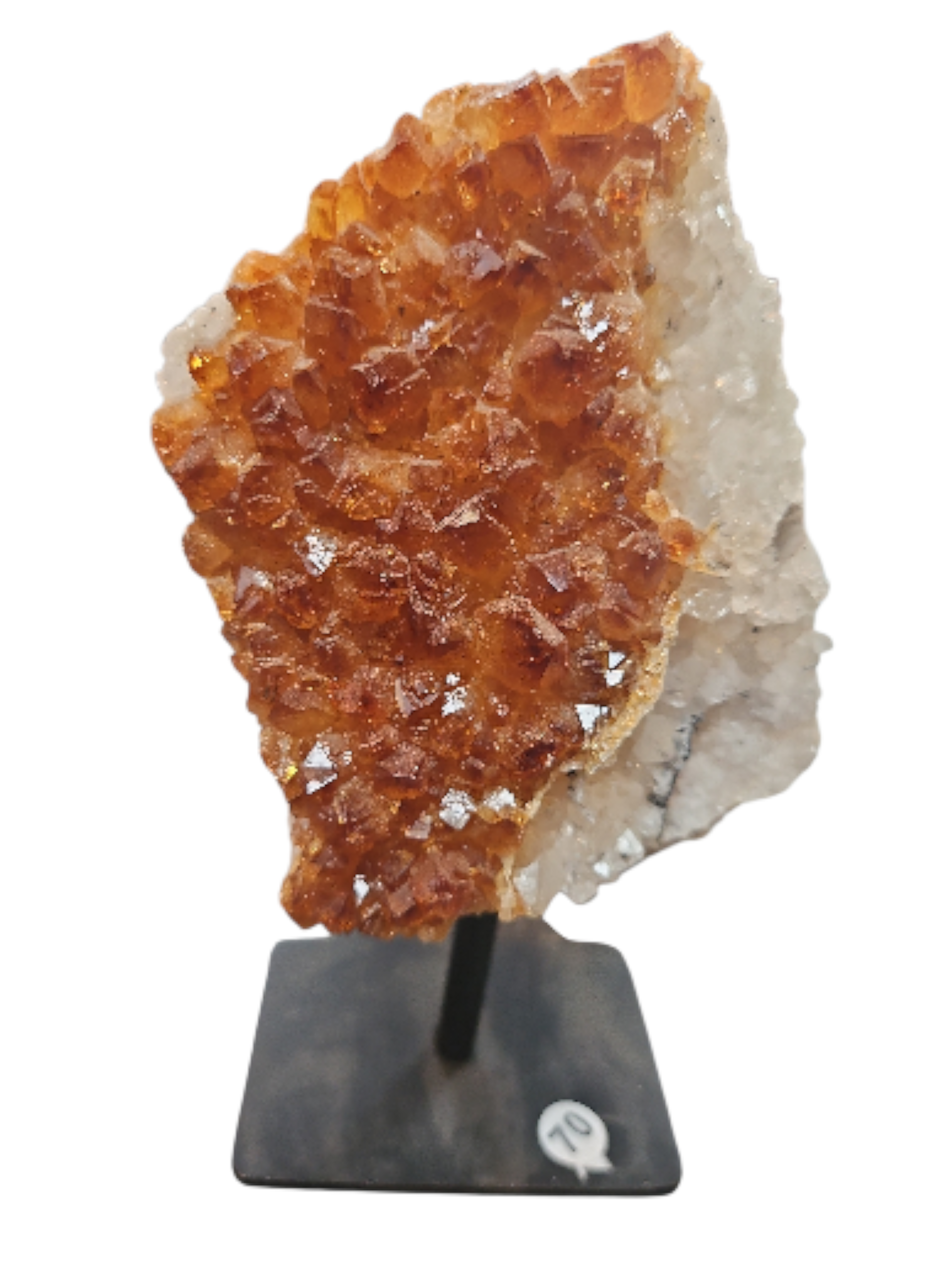 IMG_2162862326120113918