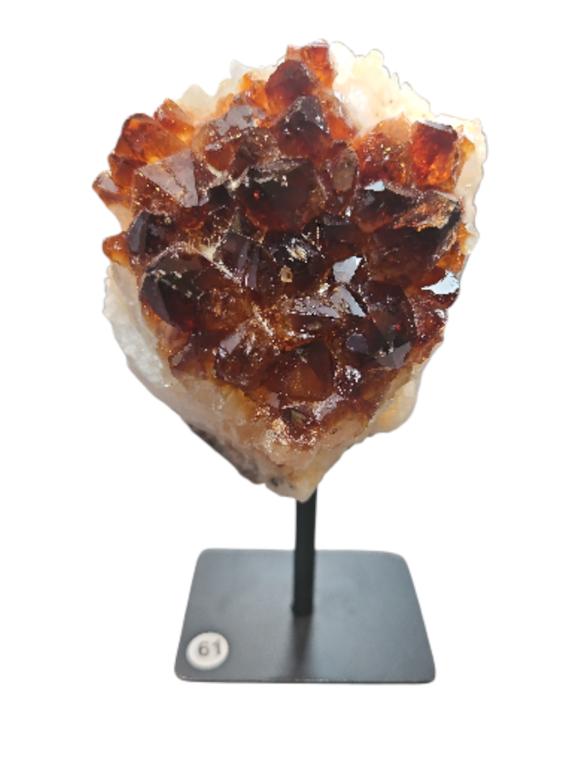 IMG_2505970411606366311