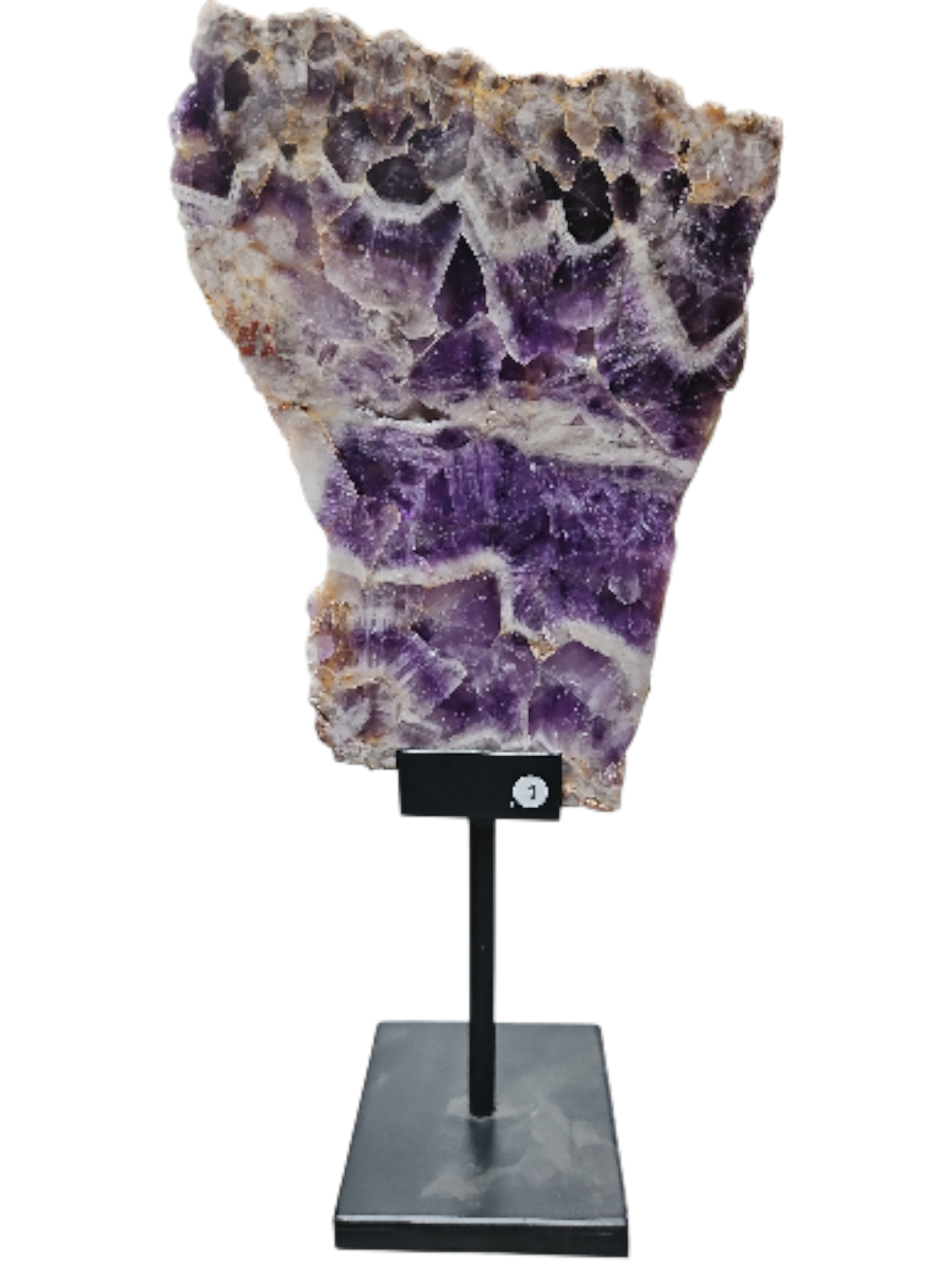 IMG_2943414838344193455