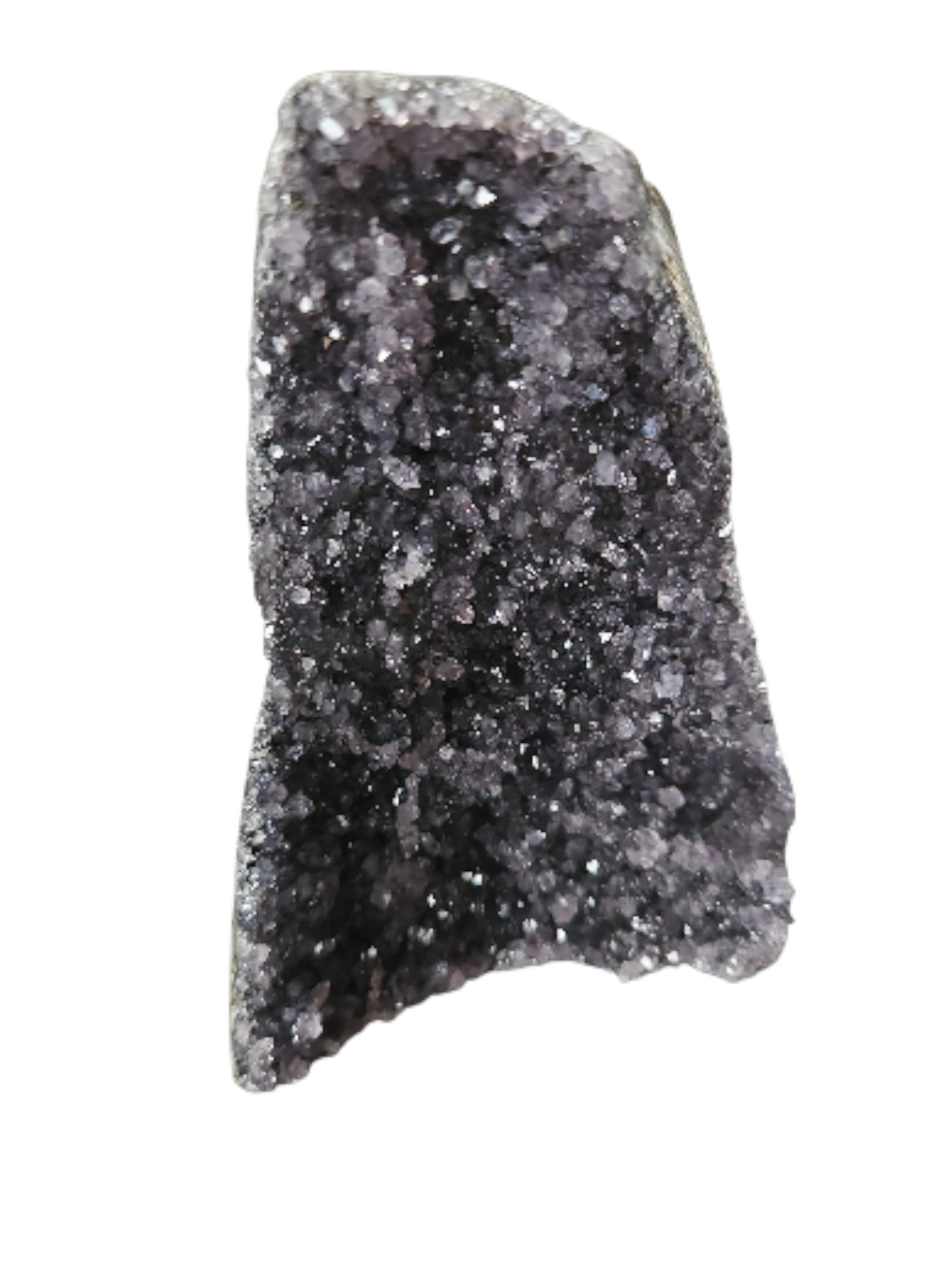 IMG_3382273302078964498