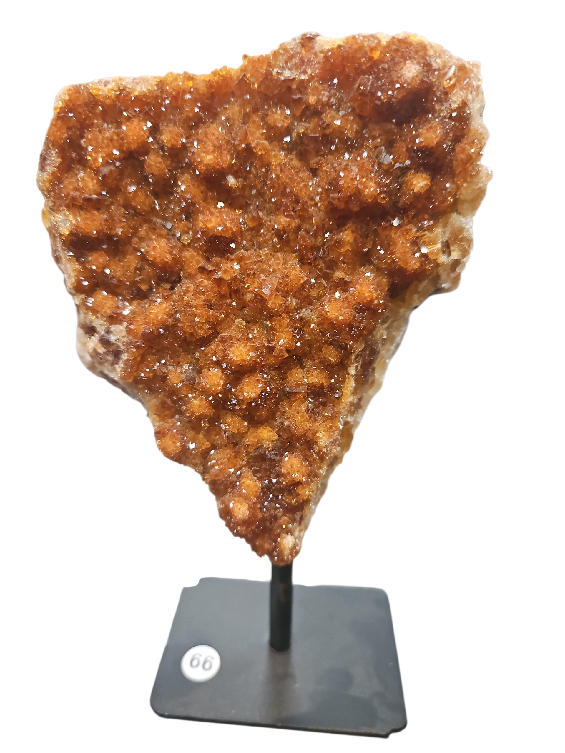 IMG_3390355020336078203