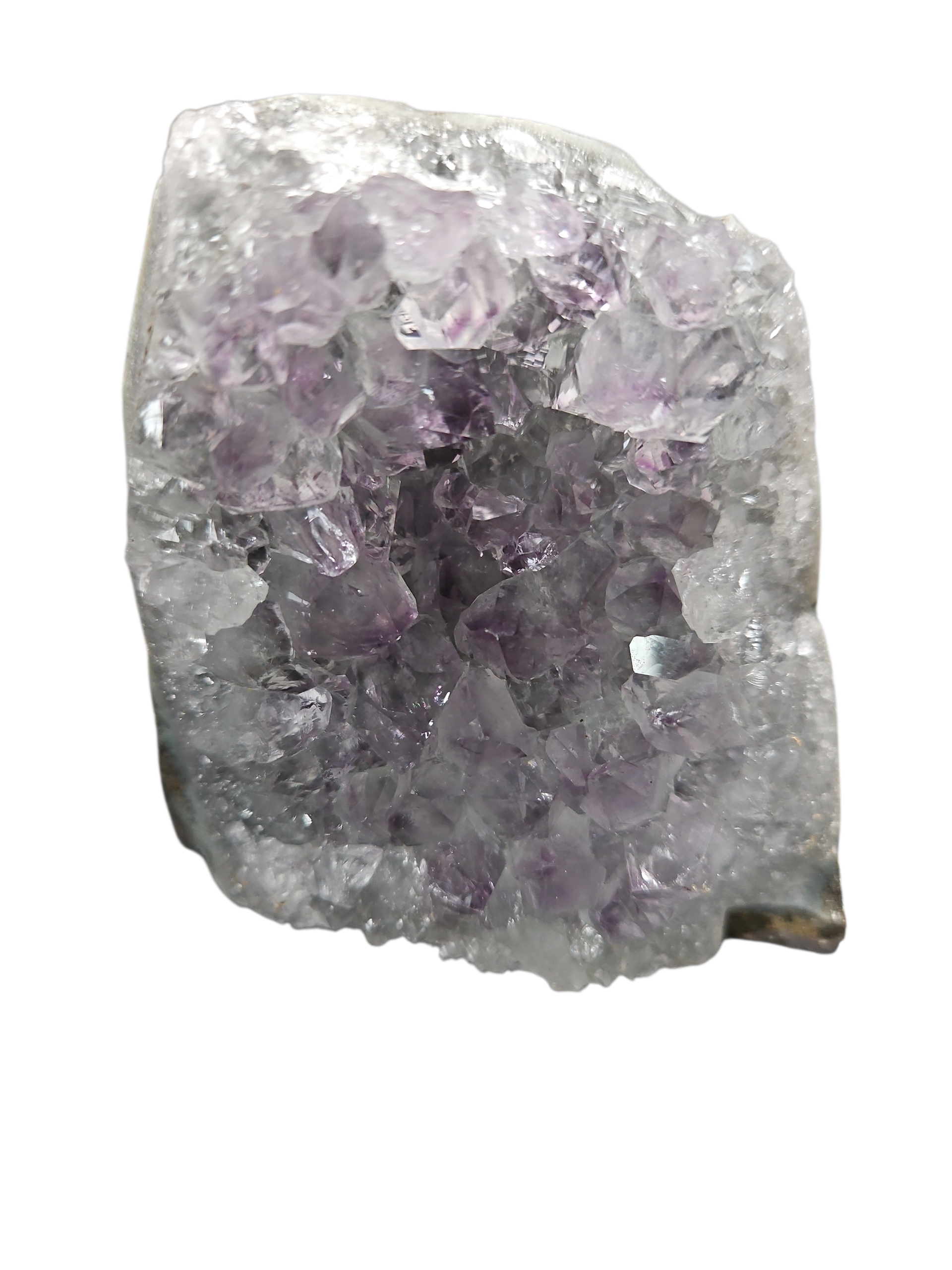 IMG_3443954464657870756