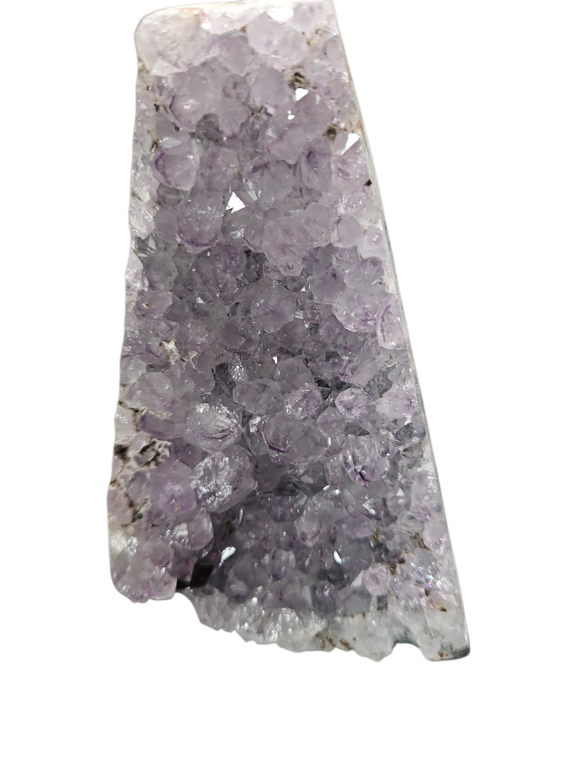 IMG_3505072873812016141