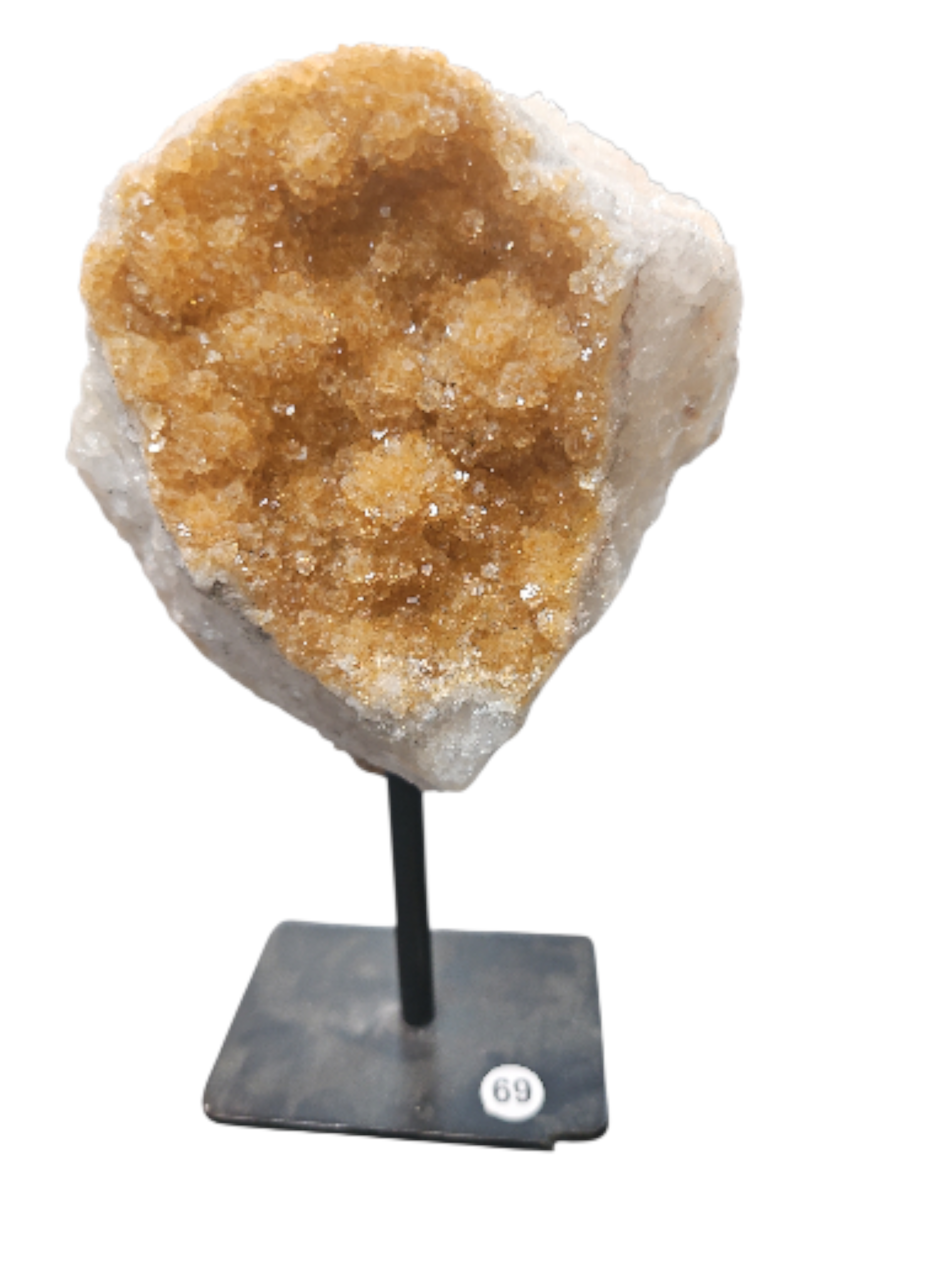 IMG_4154817692972393559