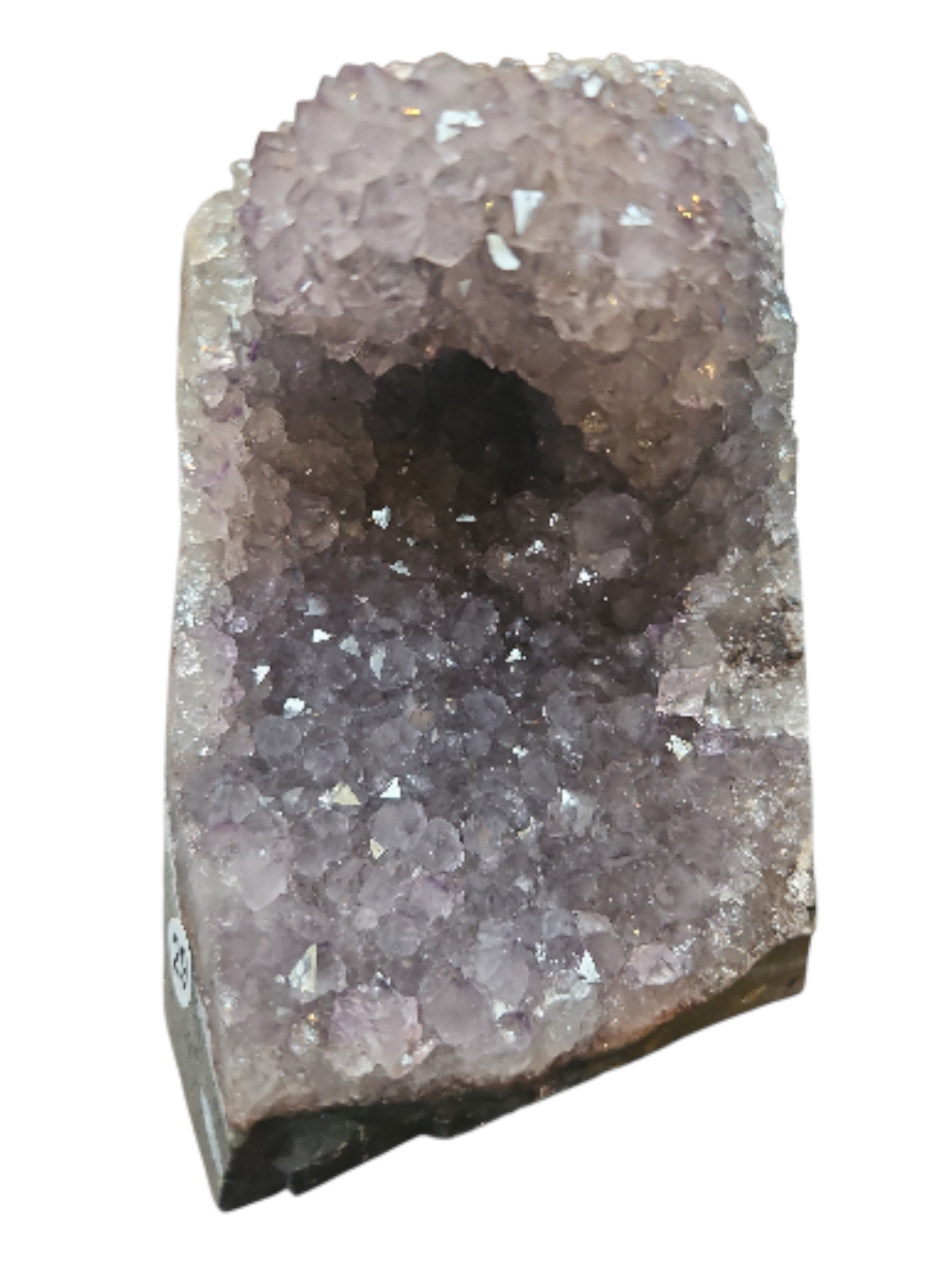 IMG_4232460310798505949