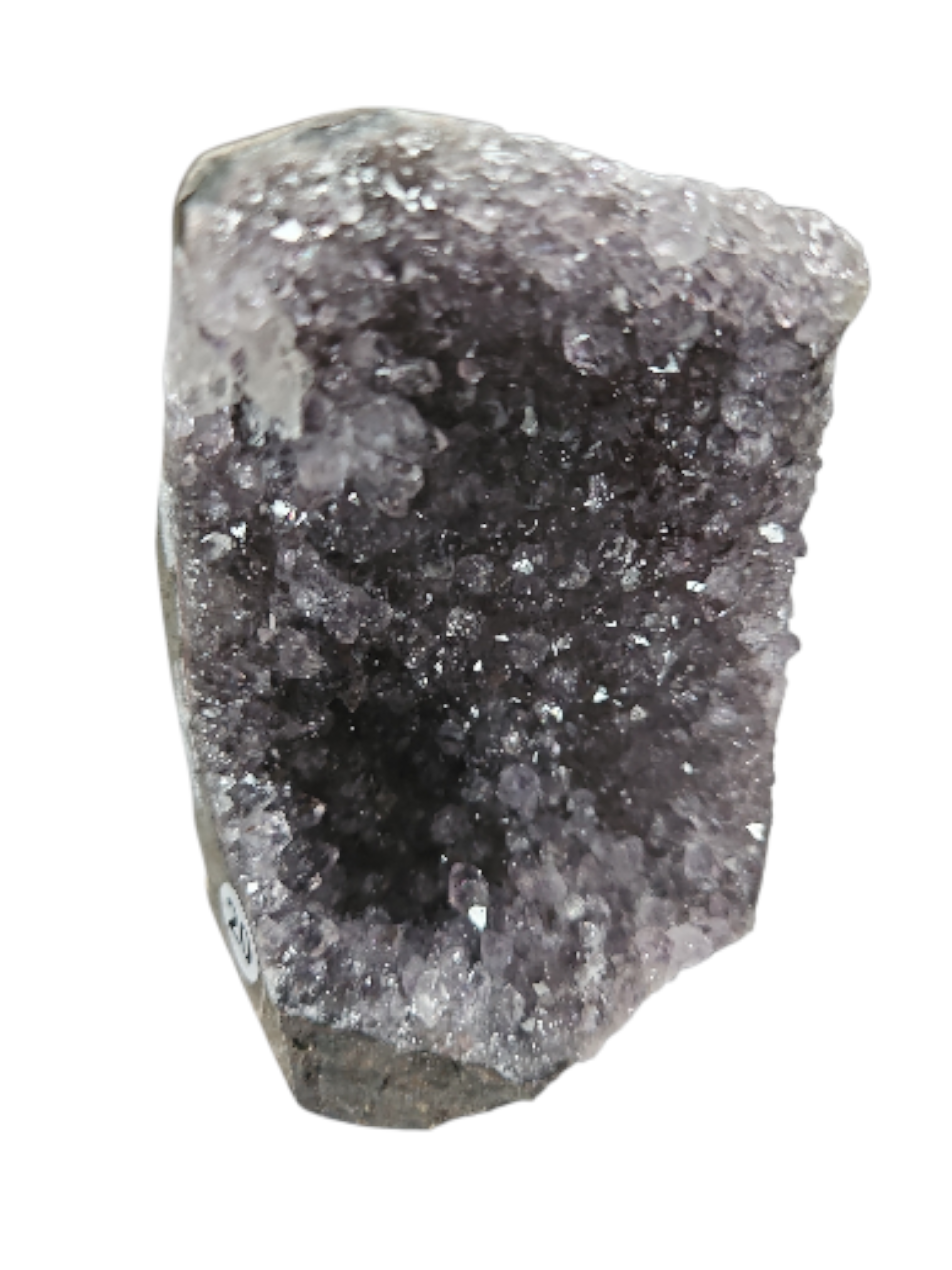 IMG_4253480593162235533