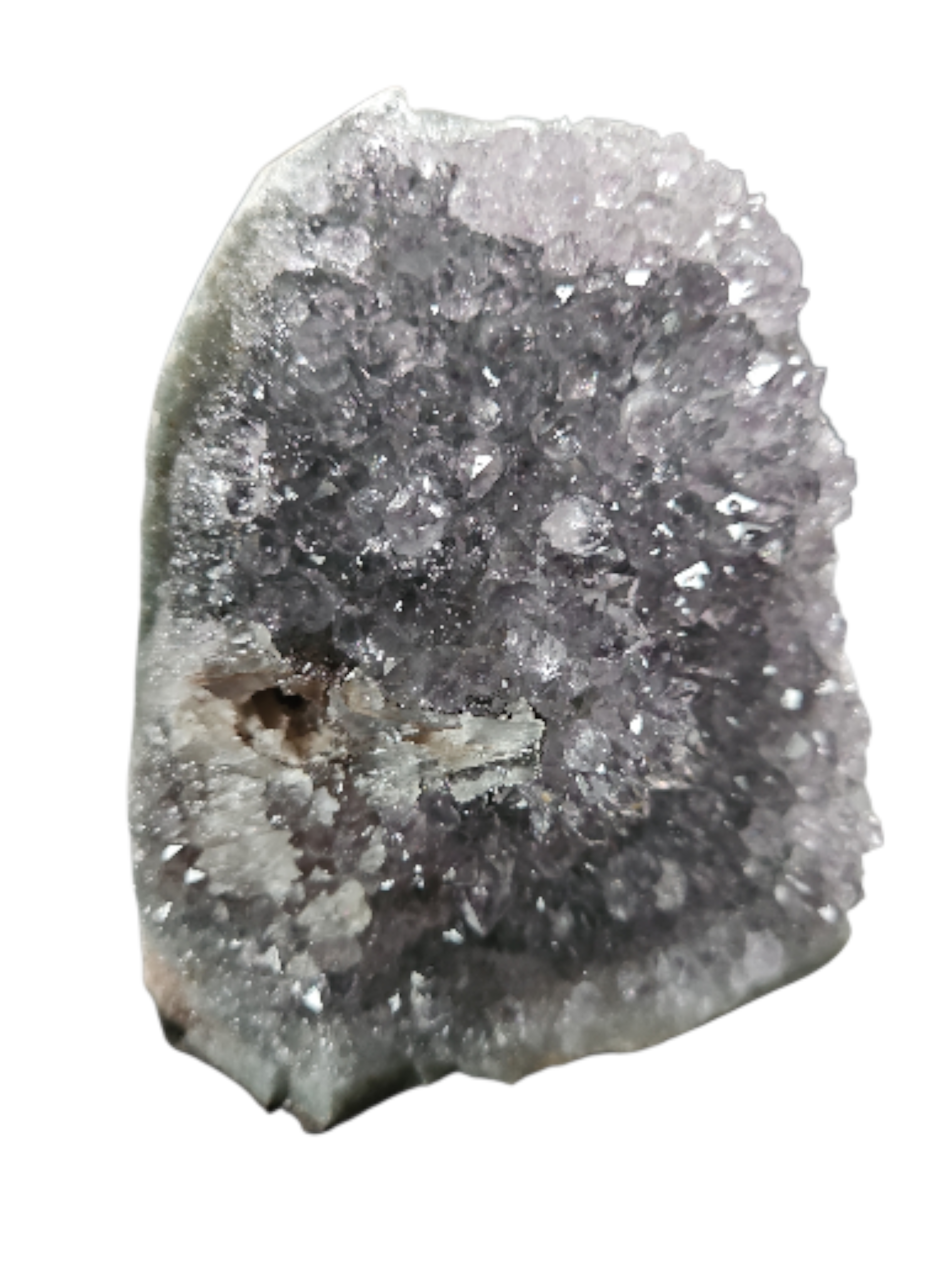 IMG_4352712004306922342