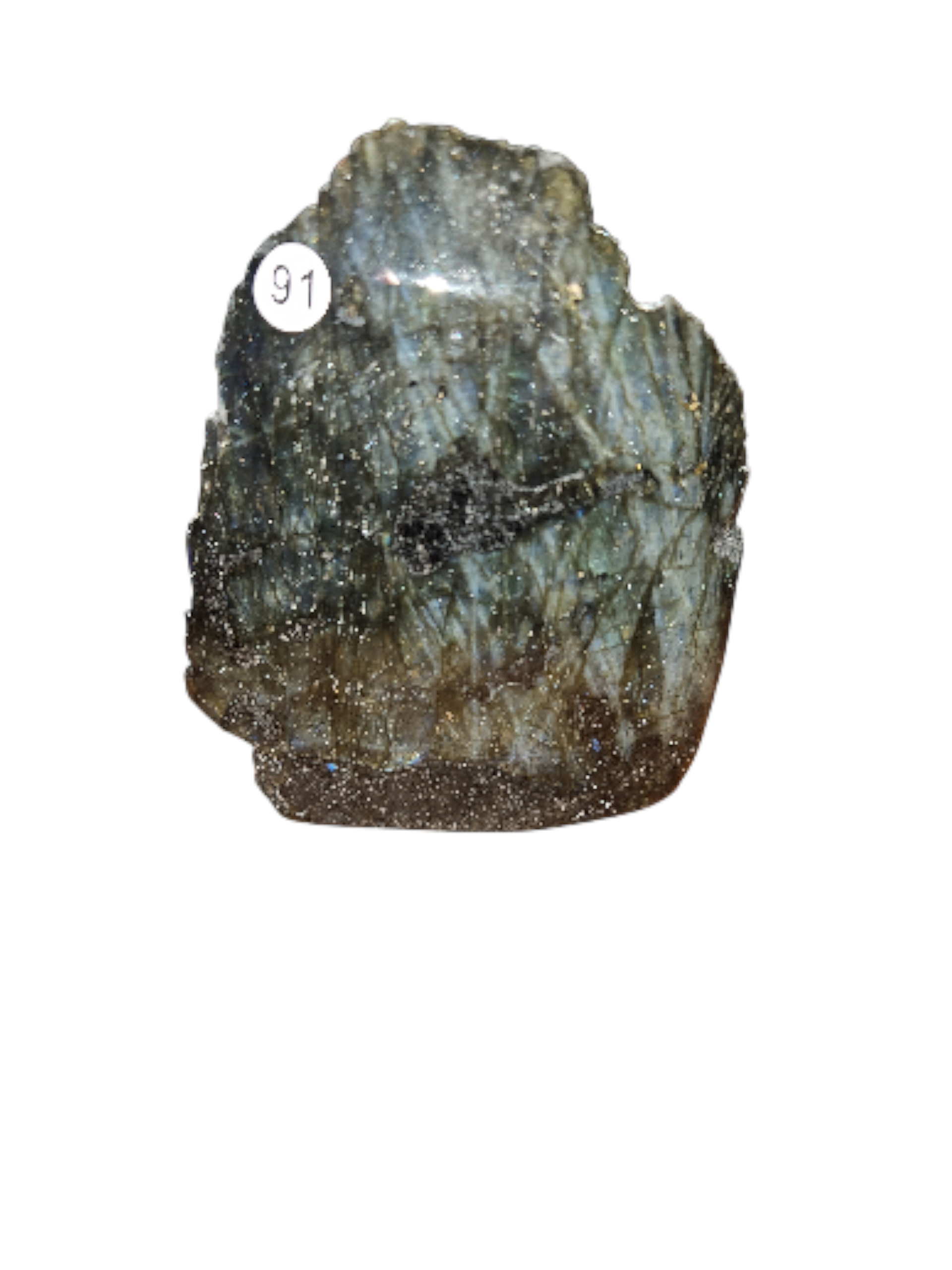 IMG_4474613193439061690