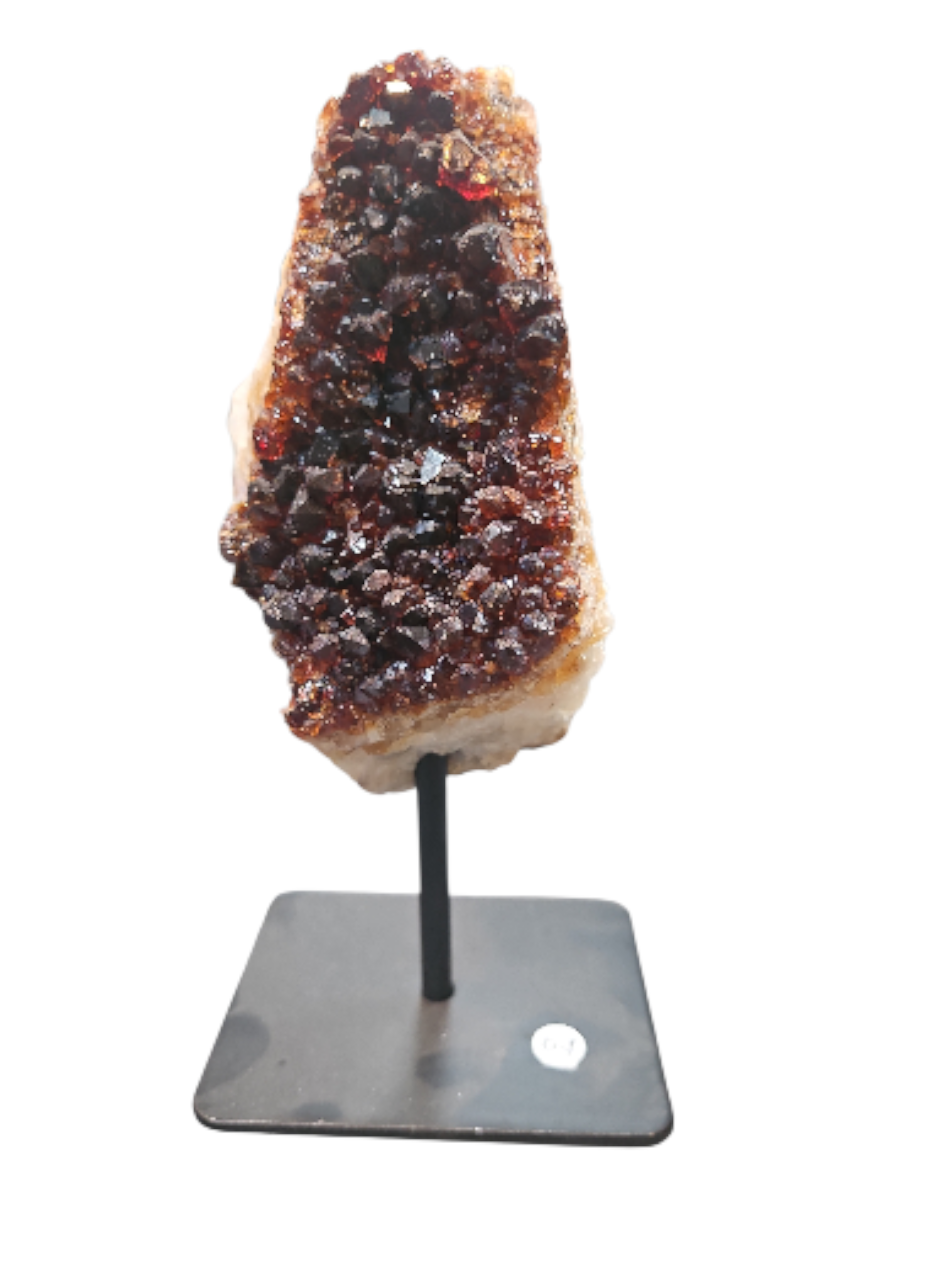 IMG_463442334892279909