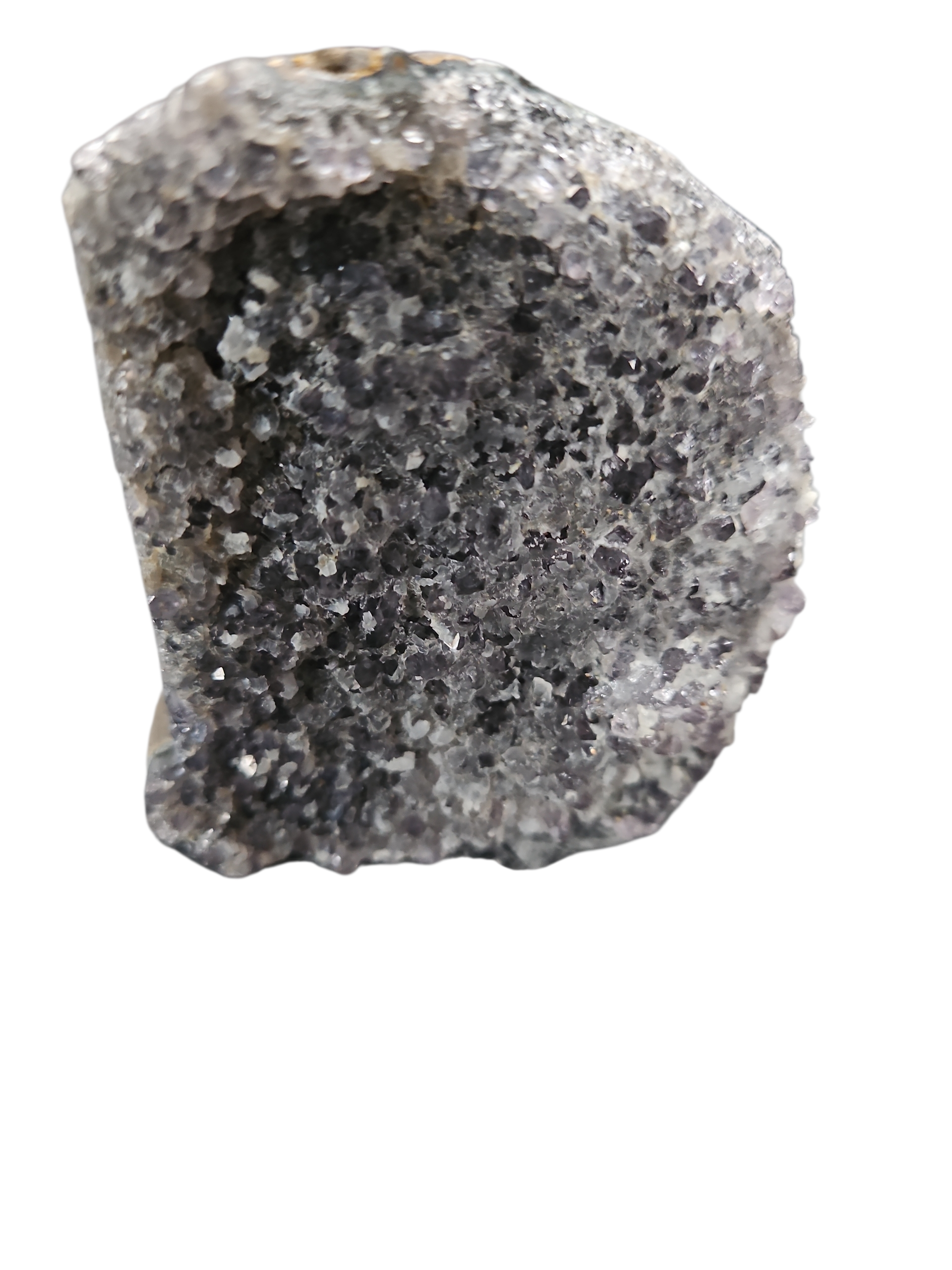 IMG_4733204380417026906