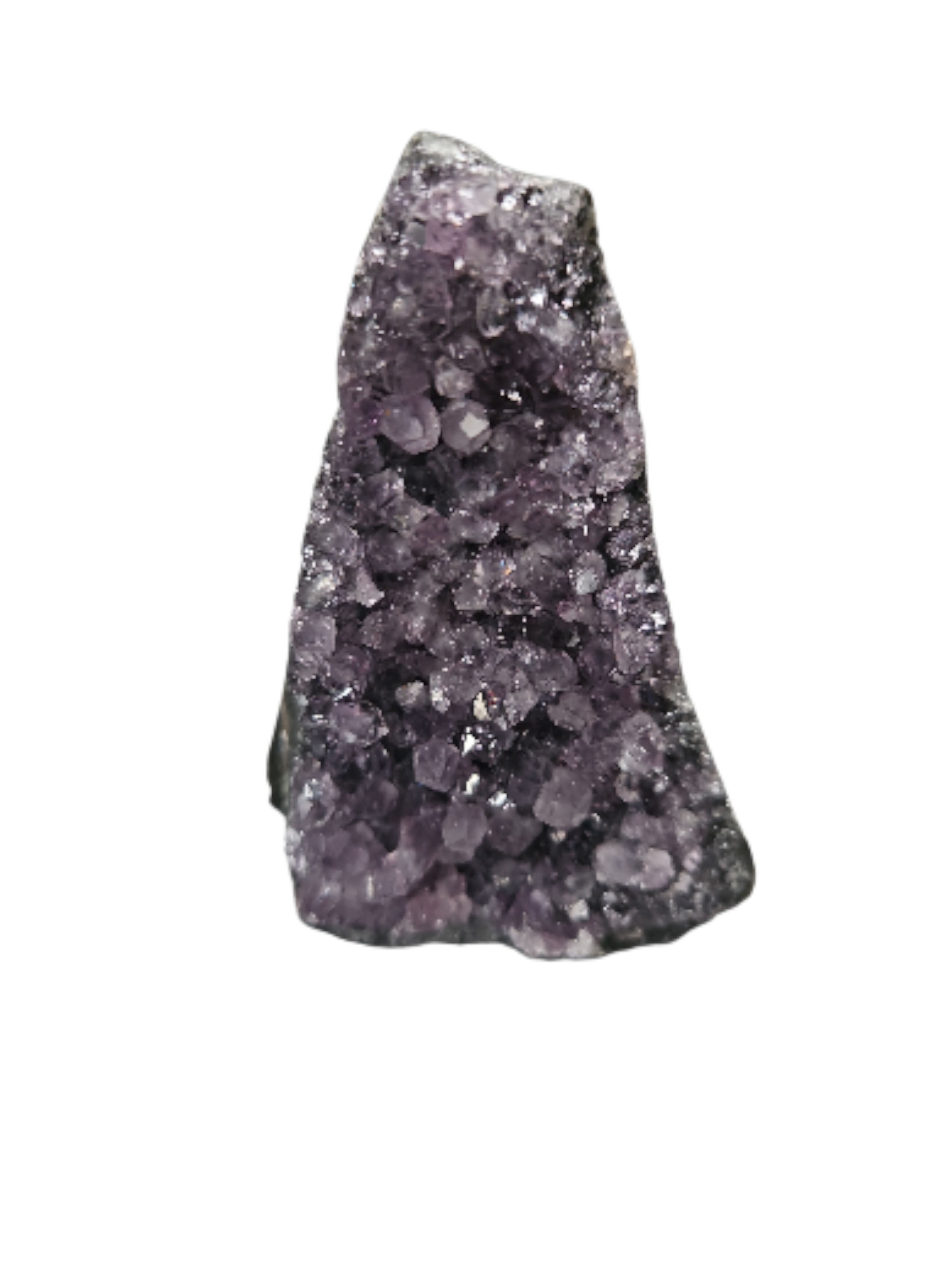 IMG_475349484745351334