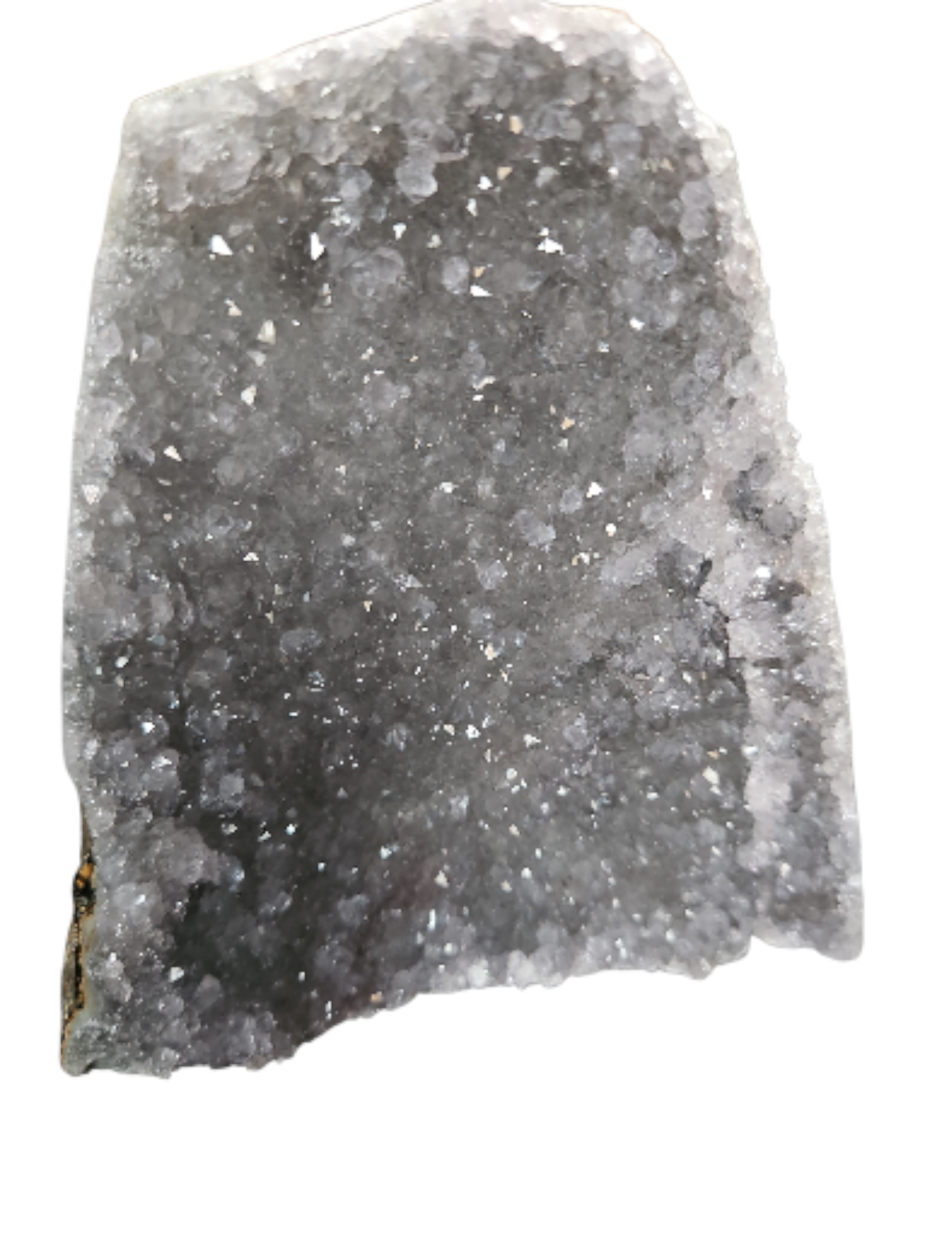 IMG_5201921137336255428