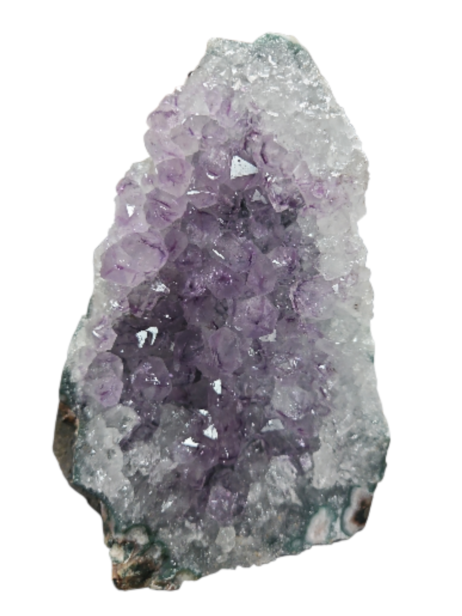 IMG_5542400363834567672