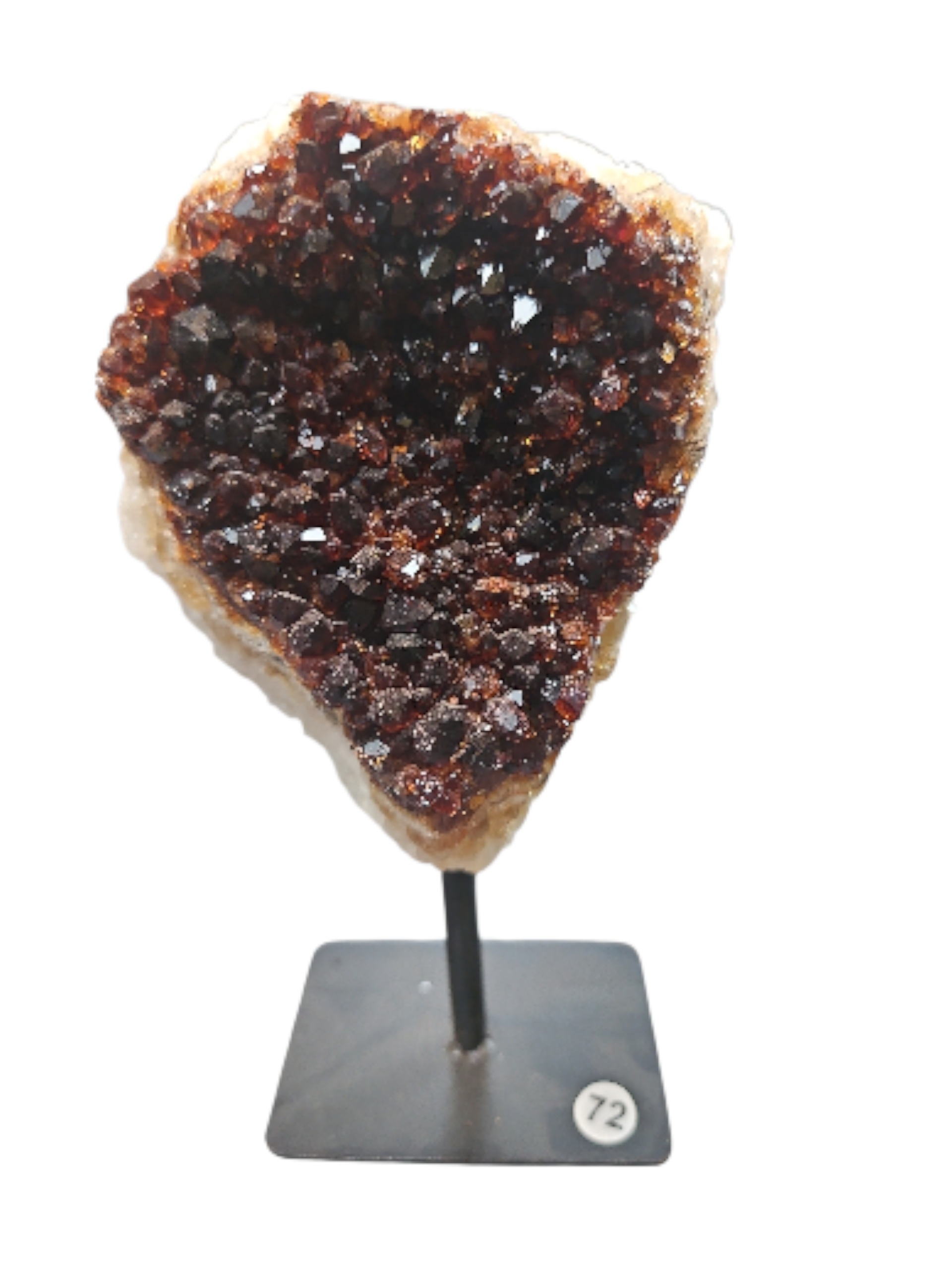 IMG_5567819274483567874