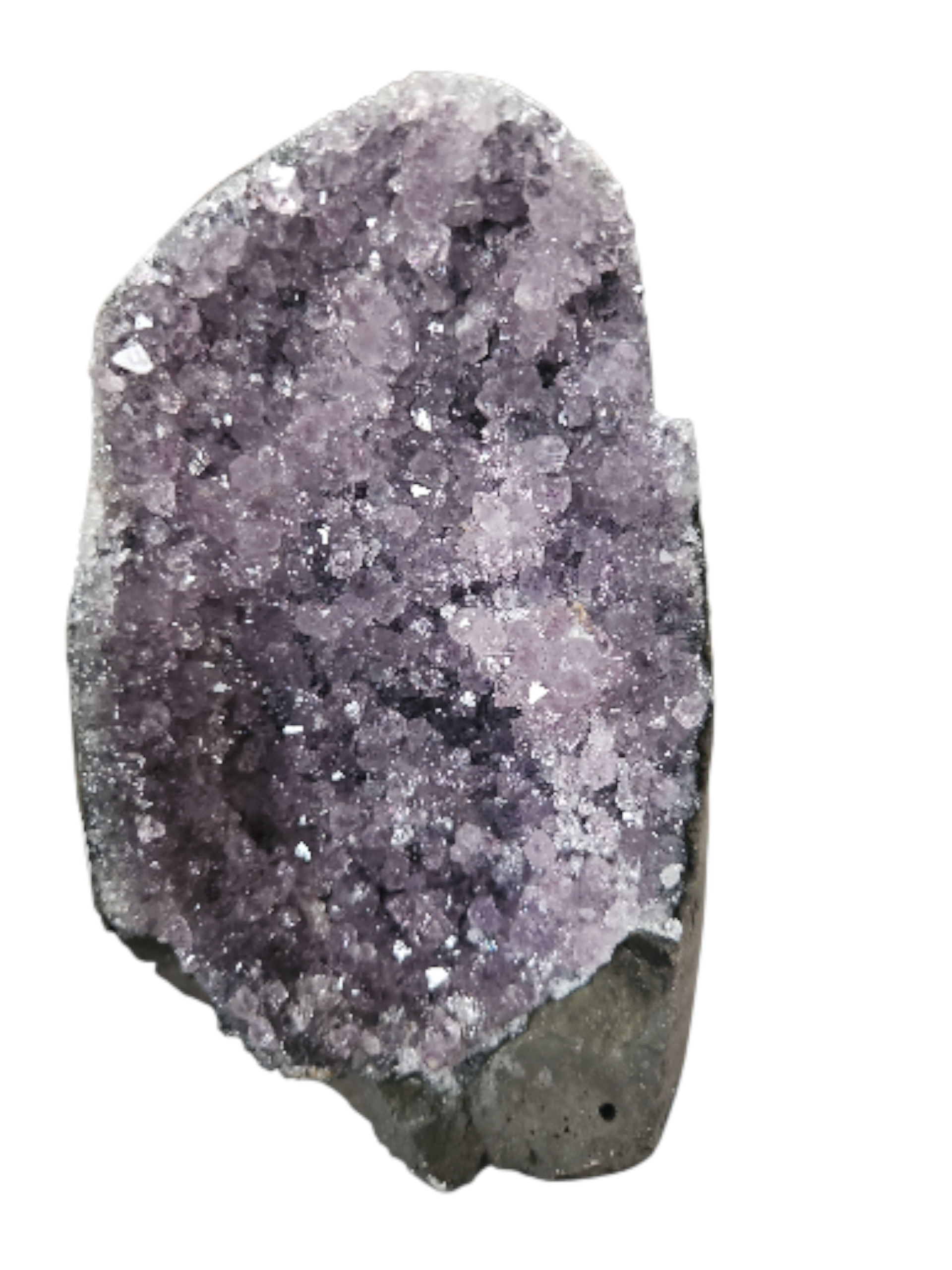 IMG_608244003030541672