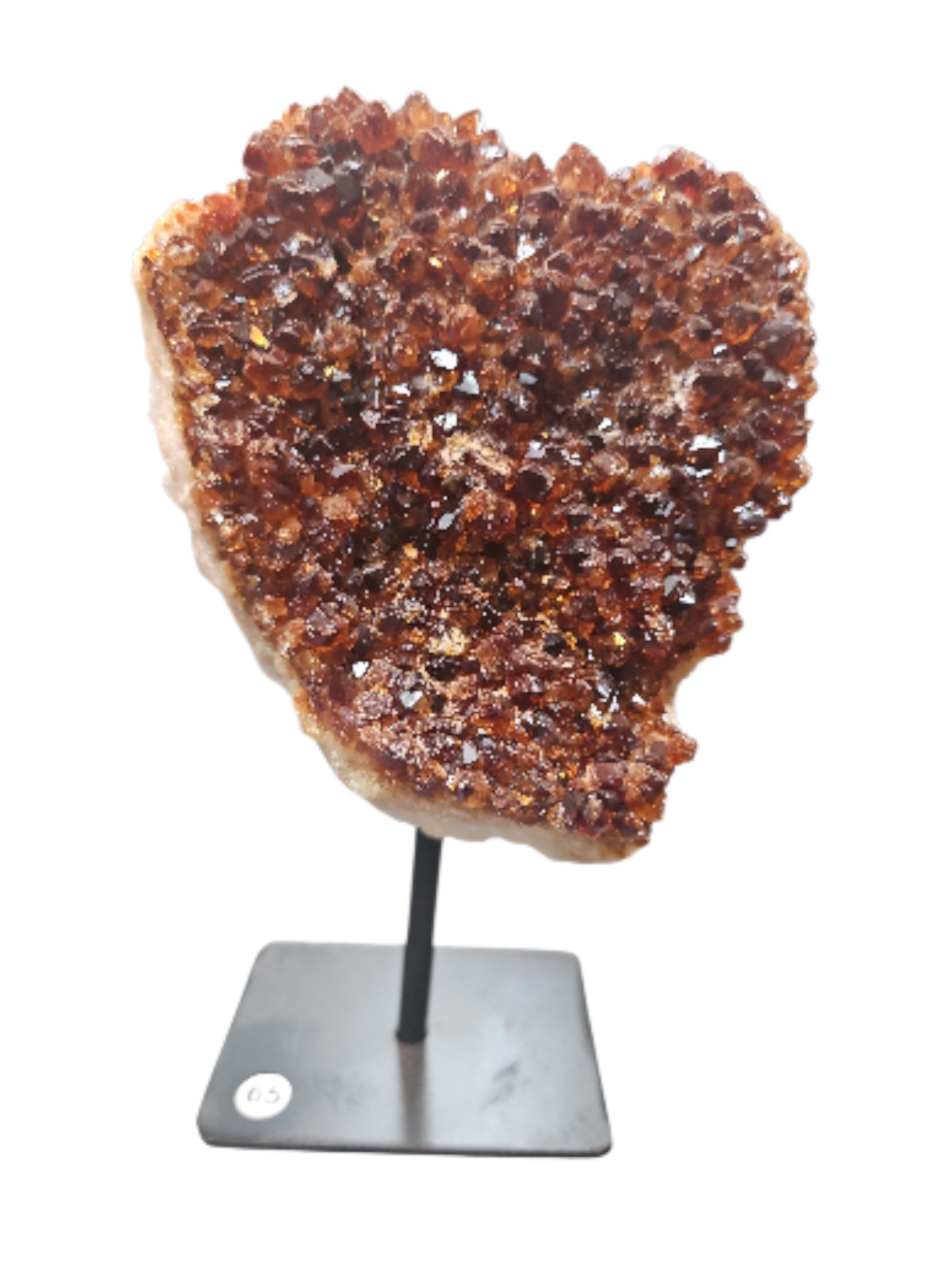 IMG_6106493797889222575