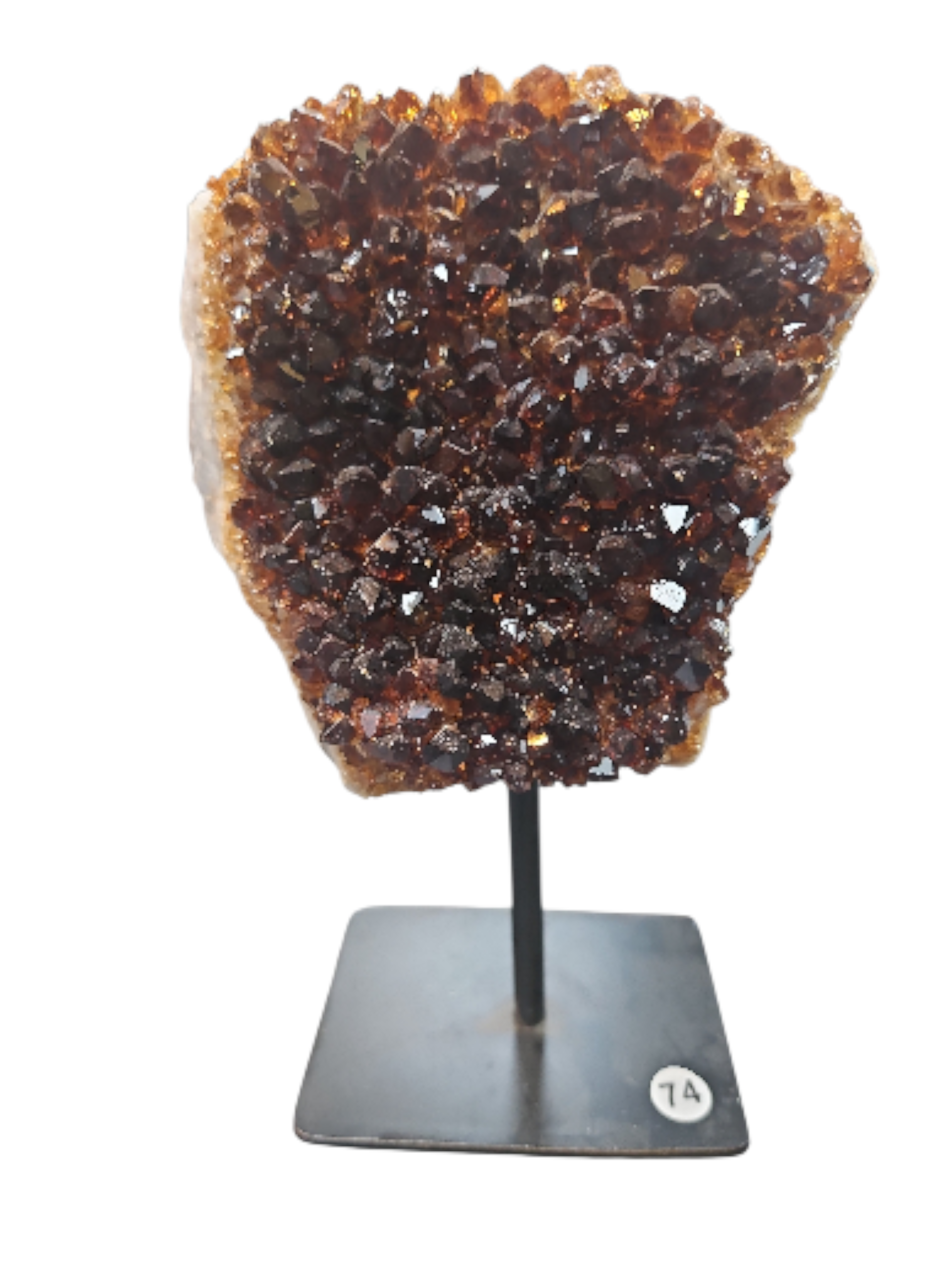 IMG_6541377167967222193