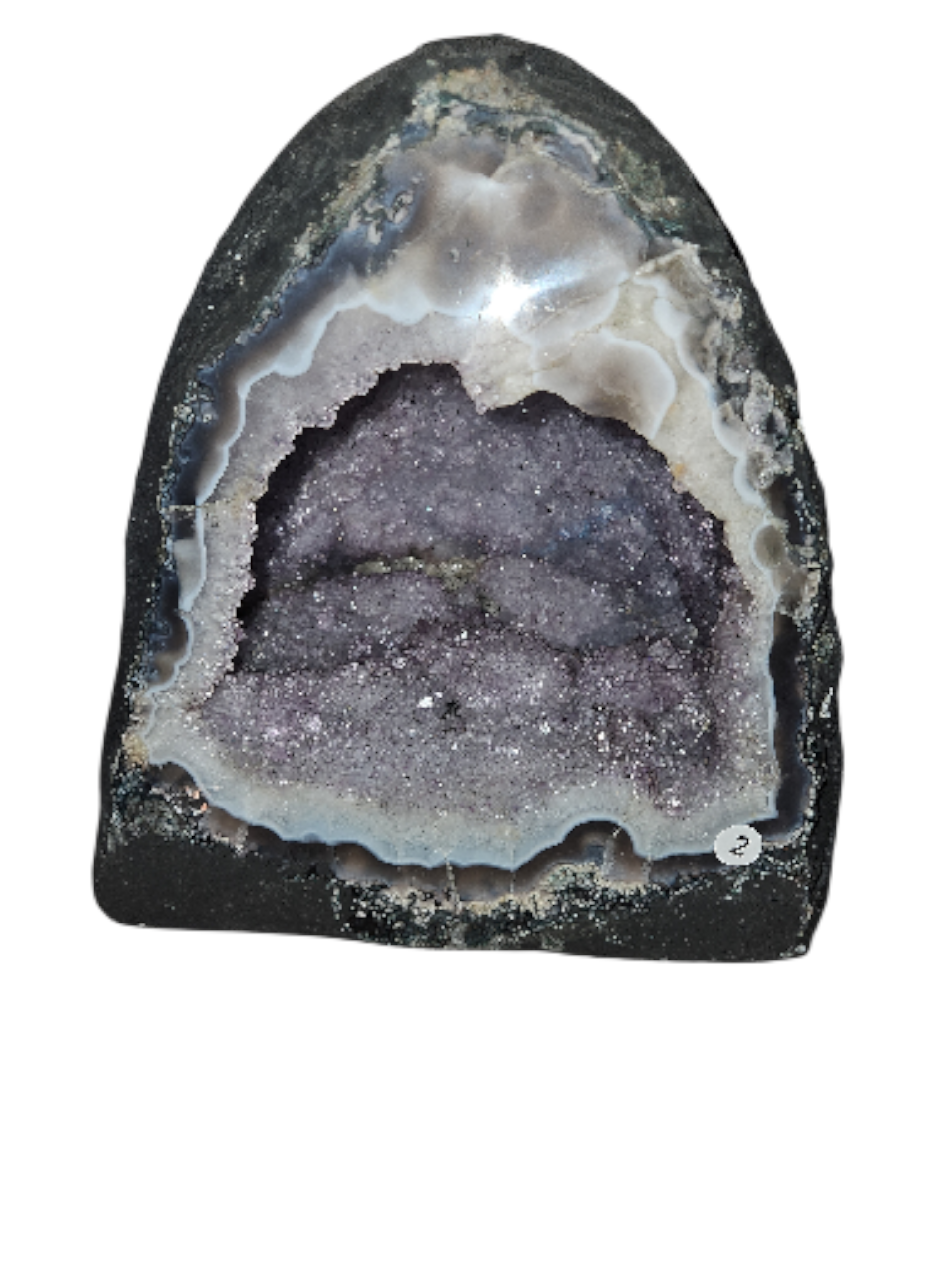 IMG_7081392536575160395