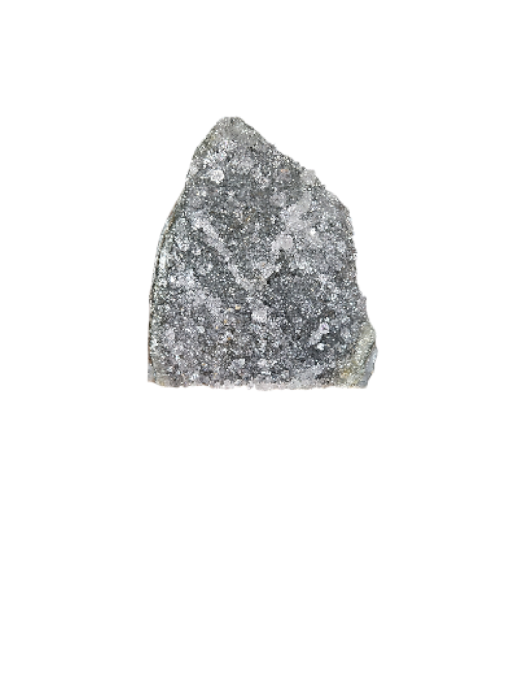 IMG_7646195554072433475