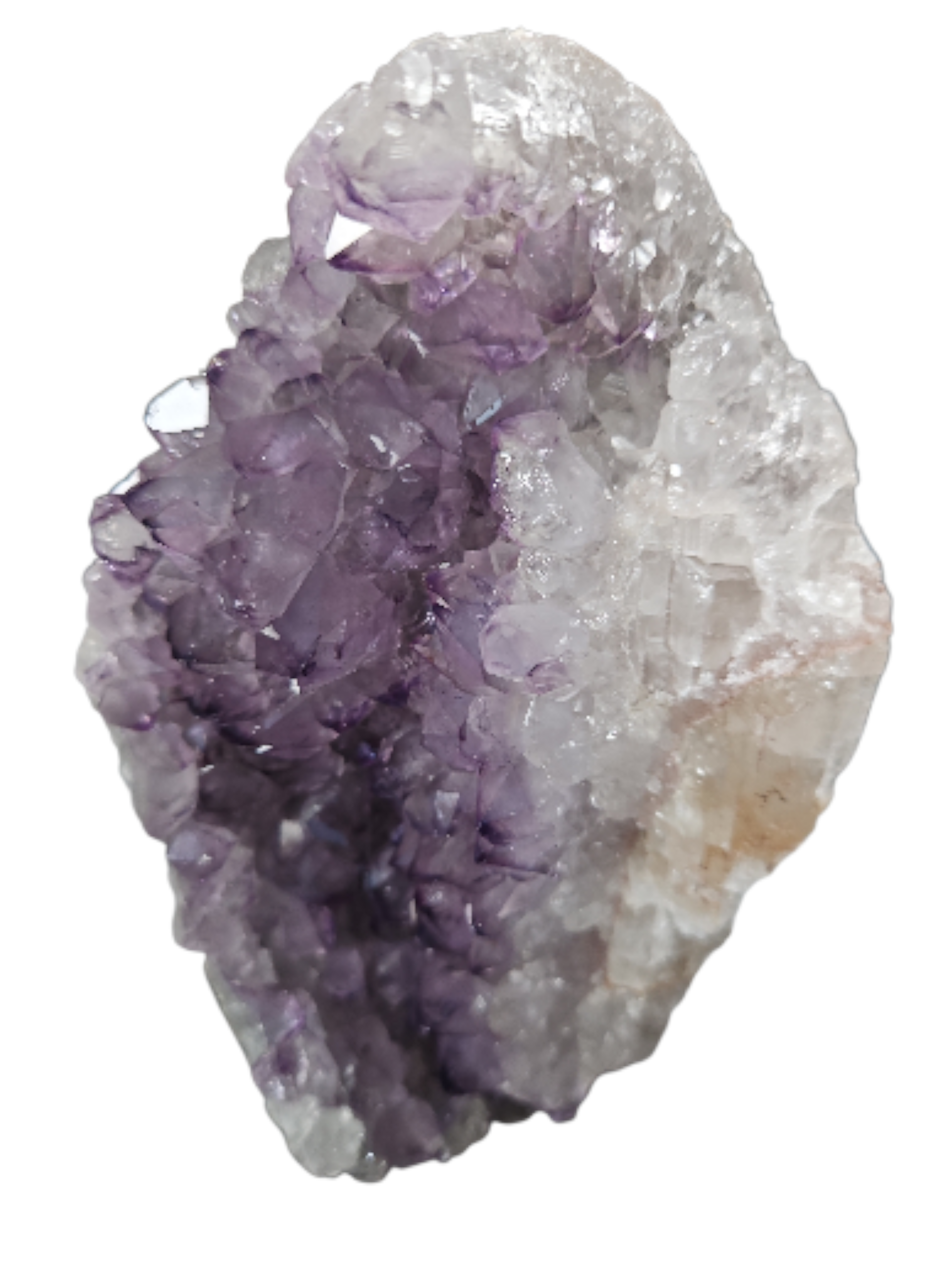 IMG_7799711882193397143