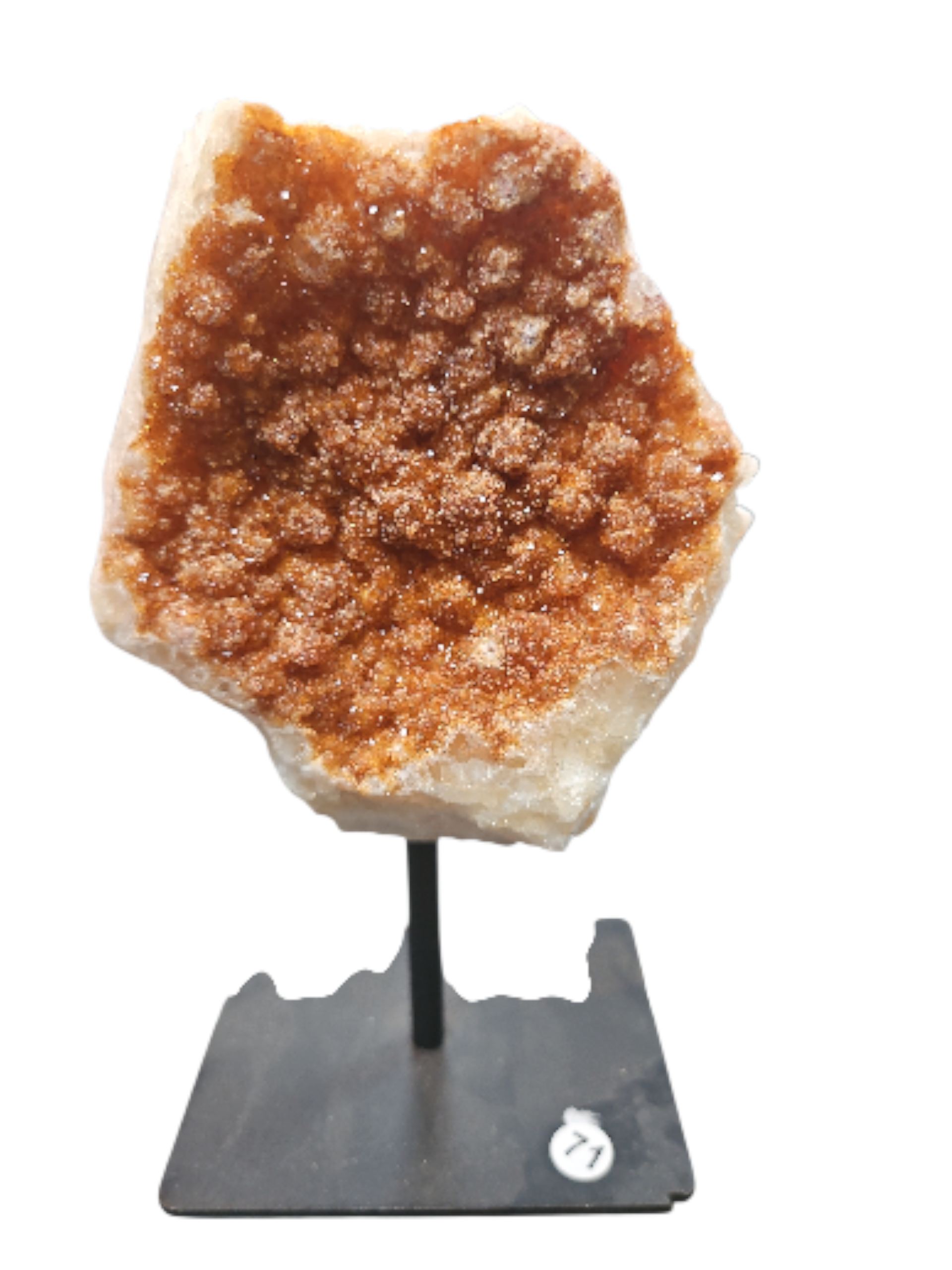 IMG_7874846378607178297