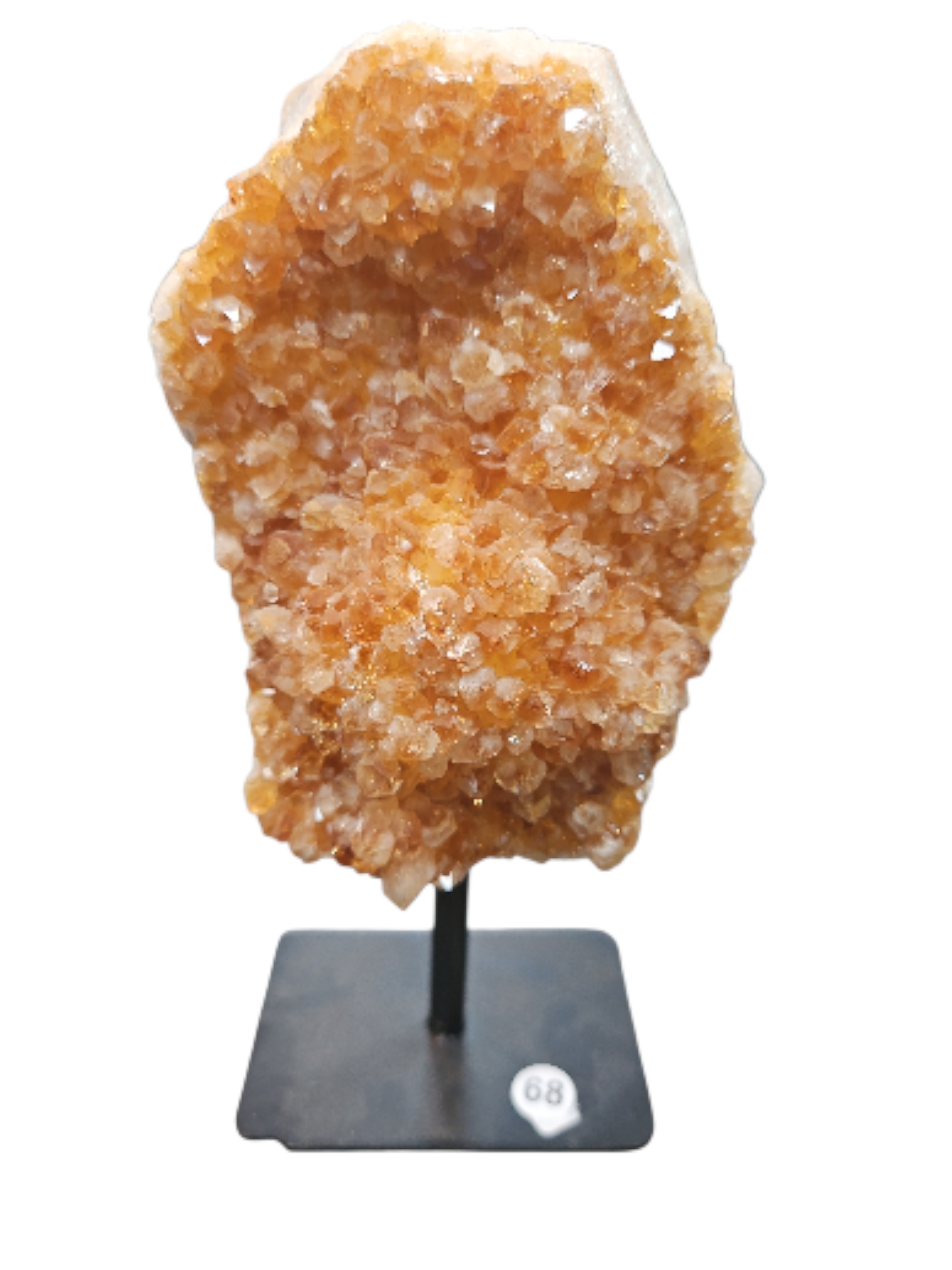 IMG_8279265147275732810