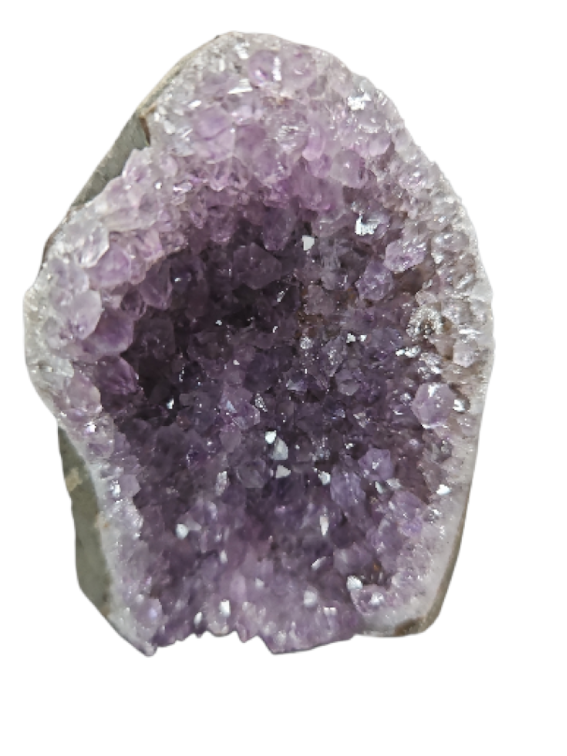 IMG_8286015432999463273