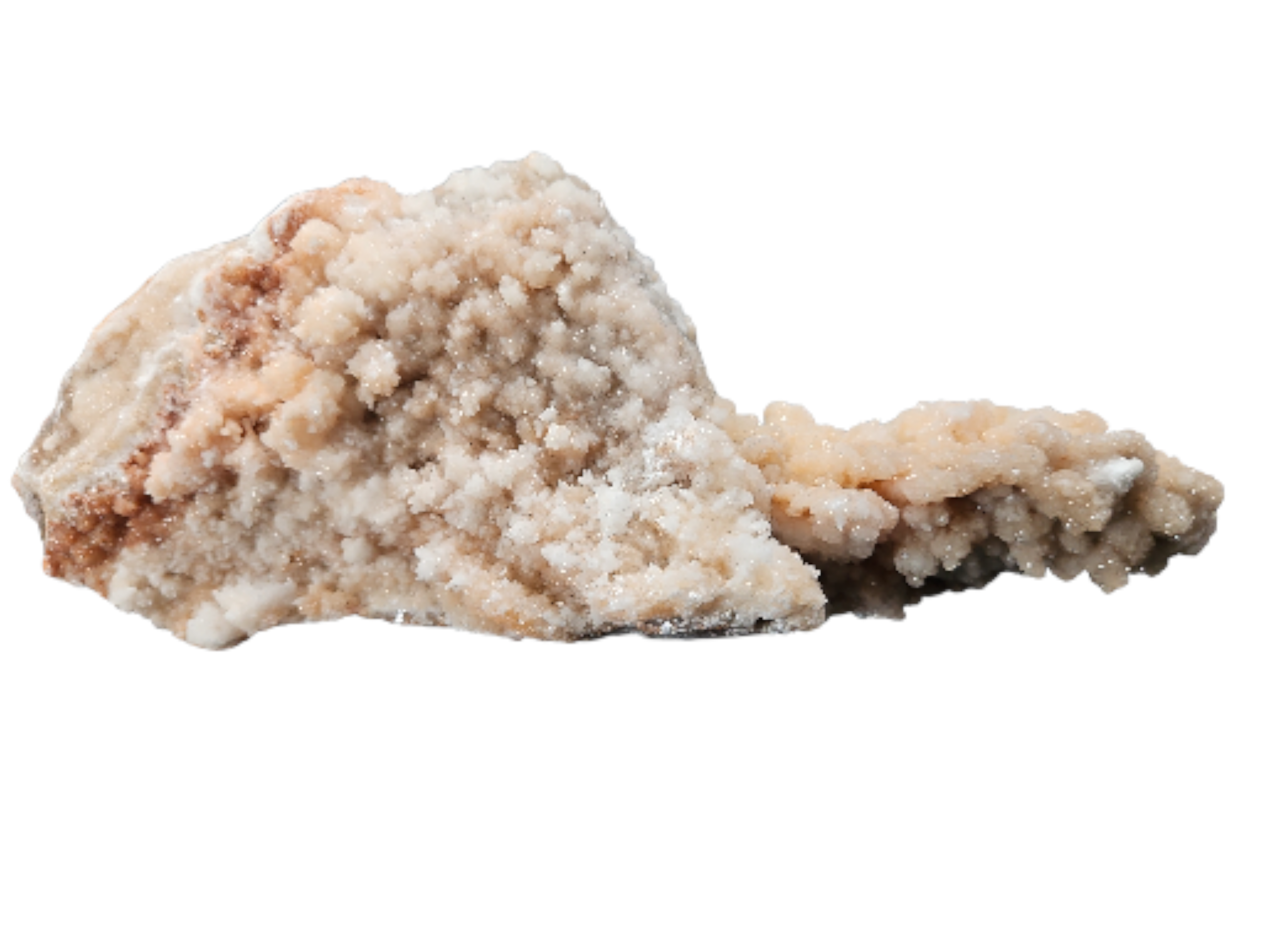 IMG_8401017457778214523