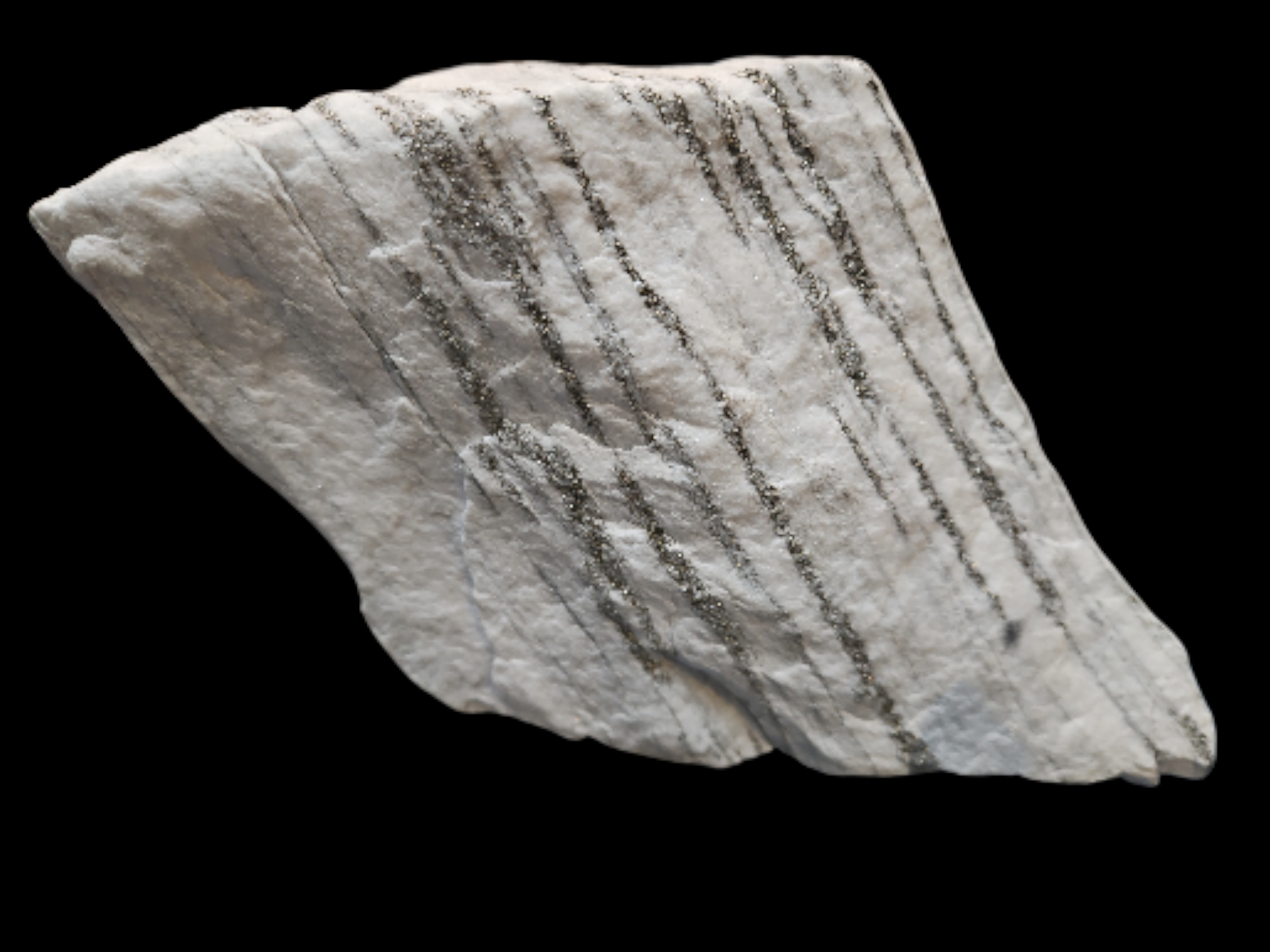 IMG_8500752040012661471