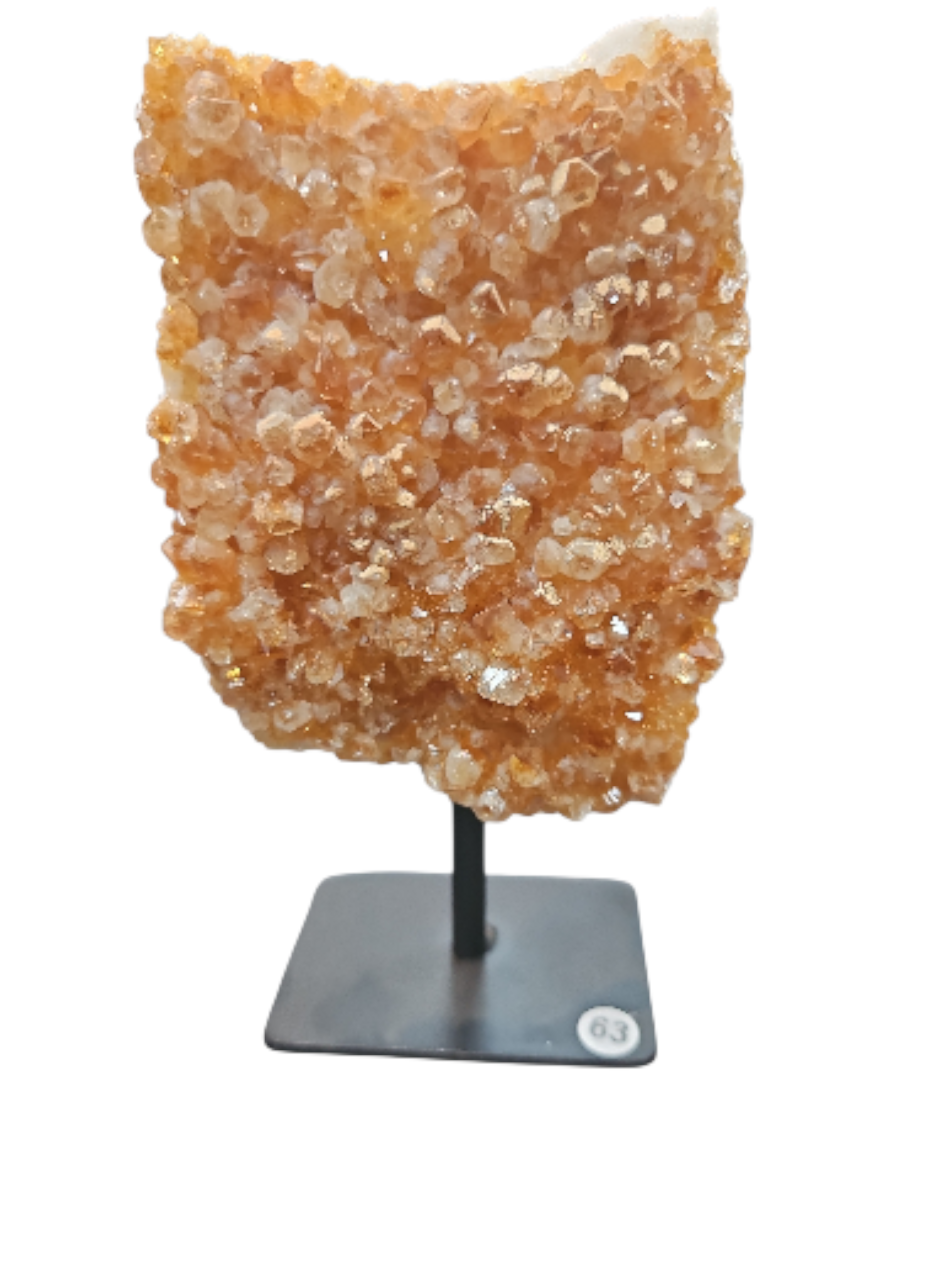 IMG_8889506910327840158