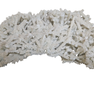 Mega ruwe Prehniet uit India