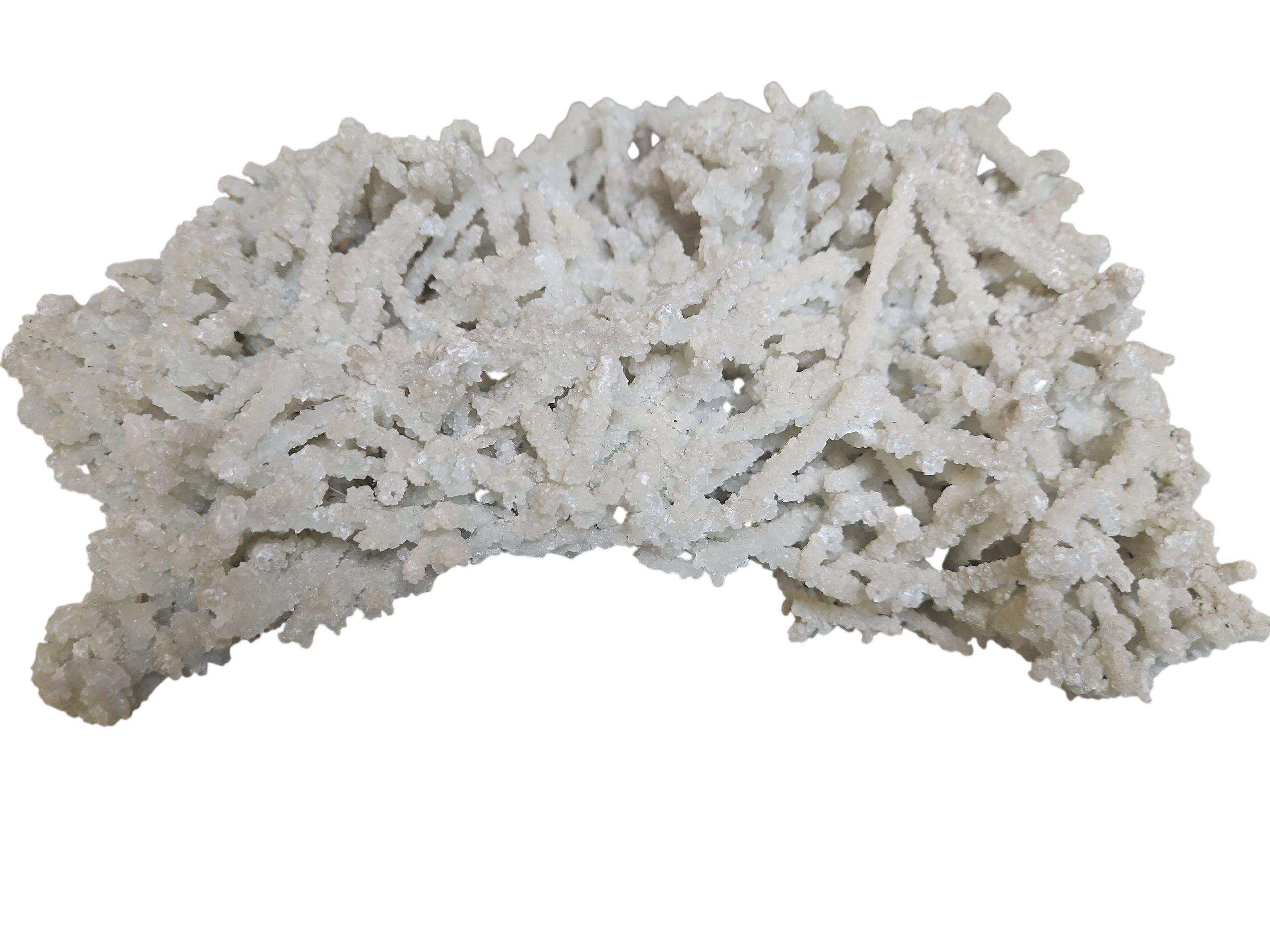 IMG_2488541075326854962