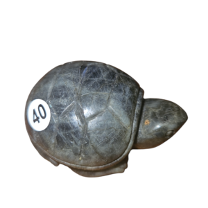 Labradoriet schildpad 6cm nr. 40