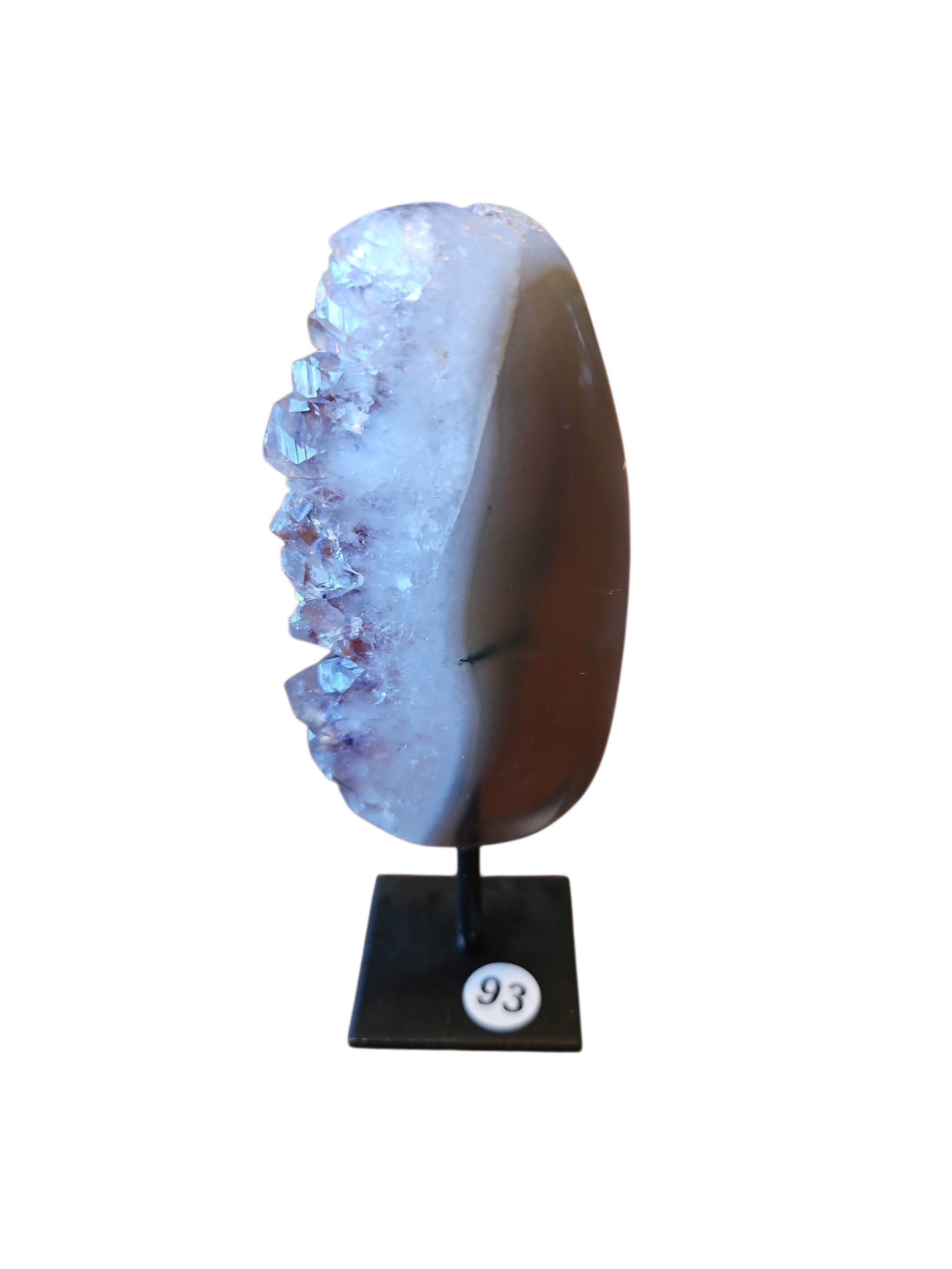 IMG_5938849596075565695